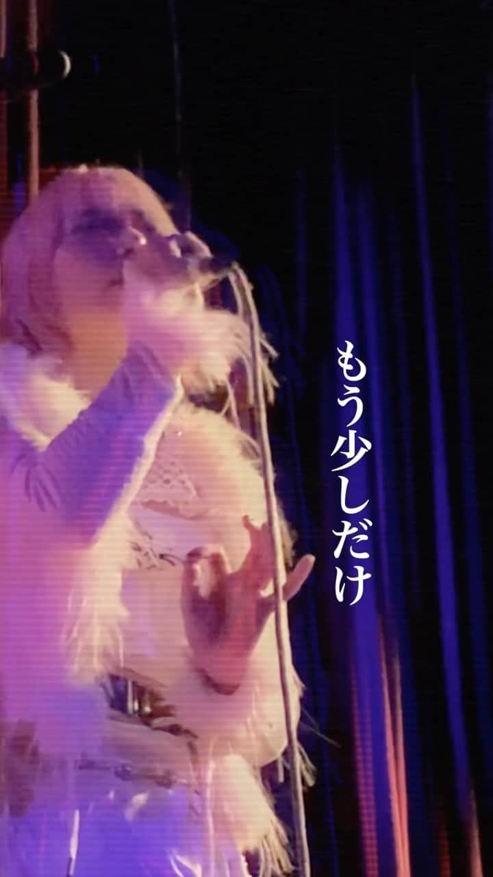 Cö shu Nieのインスタグラム