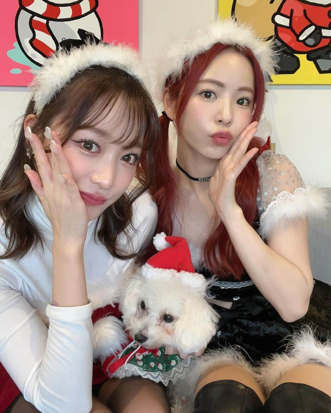 河村美咲さんのインスタグラム写真 - (河村美咲Instagram)「はるちゃんと私の地元のカフェでクリスマス会🎄🤶 @andcube.cafe  こんなカフェが地元にあったとは💞 はるちゃんが教えてくれてん😌✨ しかもイッヌもokやからわたしの娘もー🐶💞 スケボー🛹できるしドッグランもあるクリスマス装飾がすんごい素敵なカフェ☕️ サンタの耳とかトナカイも貸してくれるで🫎🤶（犬用も㌃）  #番組中チーム違うしほぼ話してない #GIRLorLADY @abema_official  #こんな仲良くなるとは聞いてない  #茨木市 #茨木カフェ #茨木市カフェ #大阪カフェ #クリスマス会 #大阪カフェ #犬同伴可 #犬同伴 #サンタコス #サンタコス #サンタコスプレ #恋リア」12月15日 19時16分 - misaki_haaan