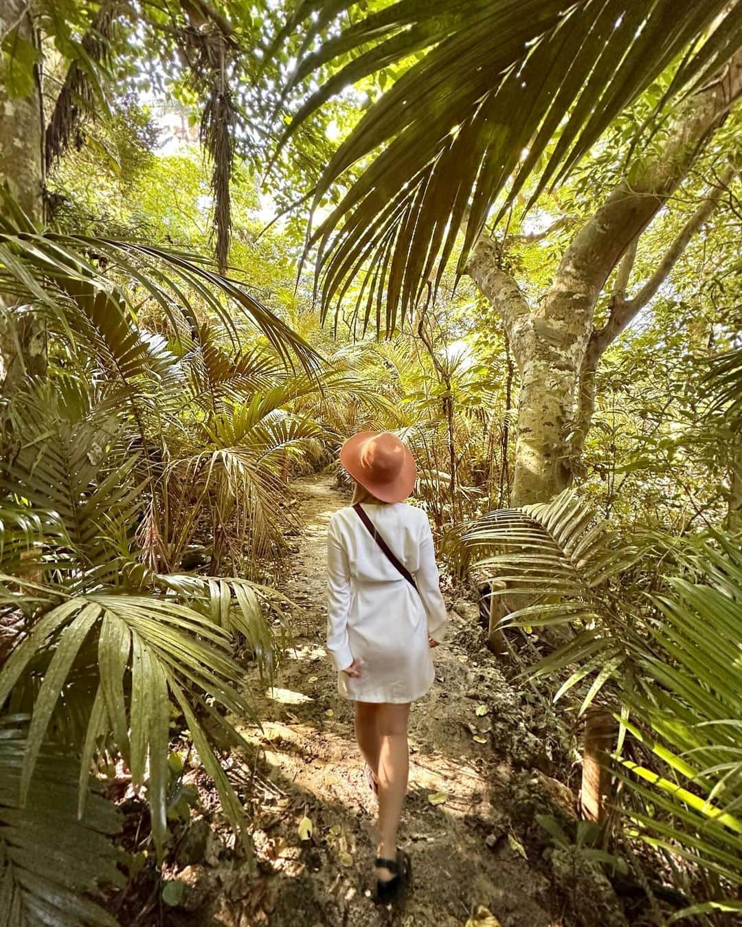 YuhKawasakiさんのインスタグラム写真 - (YuhKawasakiInstagram)「📍Yaeyamayashi  🌴🌴🌴🌴 ここ好きやわ🥥 石垣島と西表島にしかない椰子の木🌴 ここに来る直前に駐車場で転んだ😂 ： ： ： ： ： ： #yaeyamaislands #yaeyamayashi#八重山諸島 #ヤエヤマヤシ群落 #ヤエヤマヤシ #椰子の木#椰子の木がある風景 #離島#石垣島#石垣島観光#石垣島旅行#石垣島映えスポット #ishigakiisland #ishigakijima #ishigakitrip #トランカー#米原のヤエヤマヤシ群落 #米原観光#石垣市 #沖縄旅行 #国内リゾート #🌴#ヤシの木 #ファインダー越しの私の世界 #後ろ姿 #国内観光 #冬休みの過ごし方 #石垣島旅#旅スタグラム #タビジョ」12月15日 19時34分 - yuhkawasaki