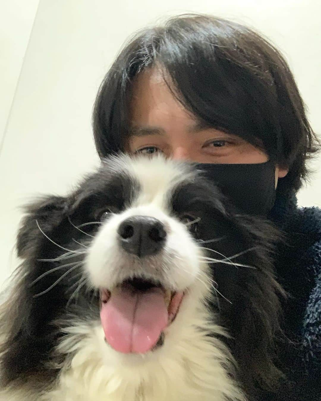 犬バカ部宣伝部長さんのインスタグラム写真 - (犬バカ部宣伝部長Instagram)「後頭部くんくん飼い主です🐼 年末までには散髪💈するんで許してください🤣 ⁡ ふにゃ顔そらちんたまりません🥺❤️ ⁡ #犬バカ部 #bordercollie #ボーダーコリー #dog #犬 #白黒 #そら #ふにゃボダ部 #ボダ娘 #激レア飼い主登場」12月15日 20時29分 - umetaturou