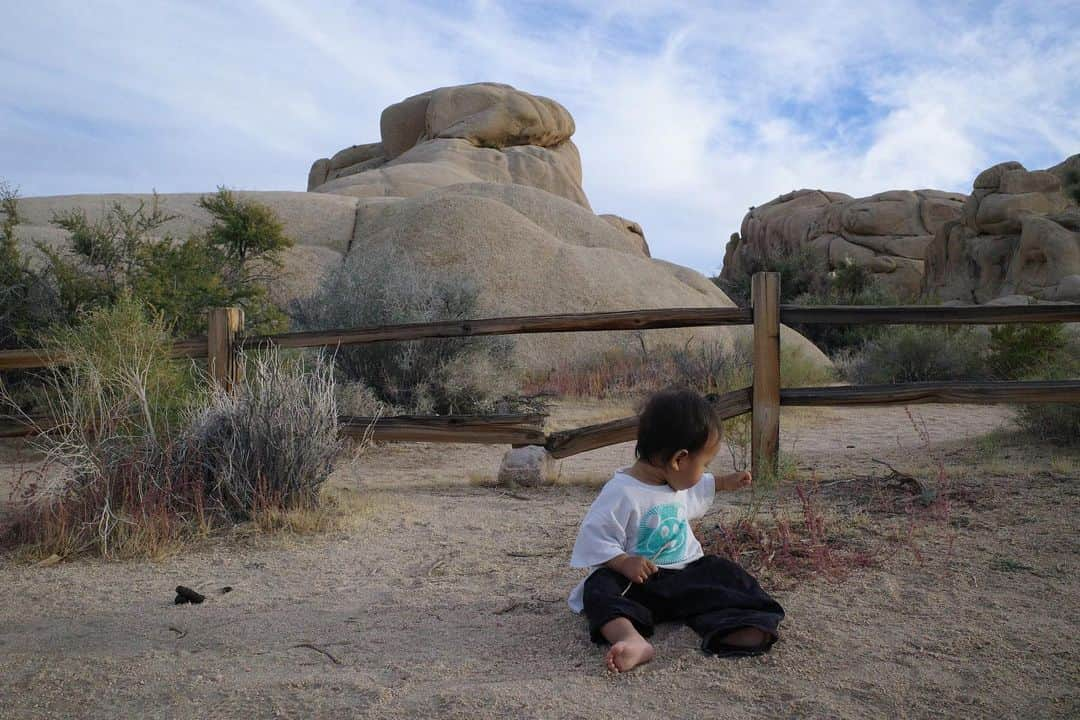 mao mitsuiさんのインスタグラム写真 - (mao mitsuiInstagram)「POSTCARD SERIES 🌍❤️ From Palm Springs」12月16日 0時41分 - maointhepark