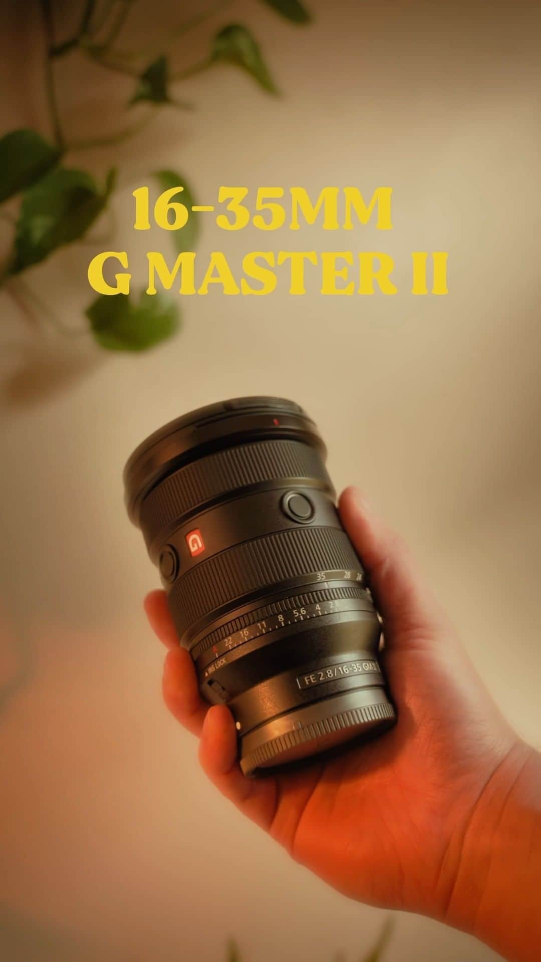 sonyのインスタグラム：「16-35 G MASTER II lens 🤝 legit any trip. Thank us later for how crisp these photos will be. Want a chance to be featured? Tag us! #sonycommunity #sonylens」