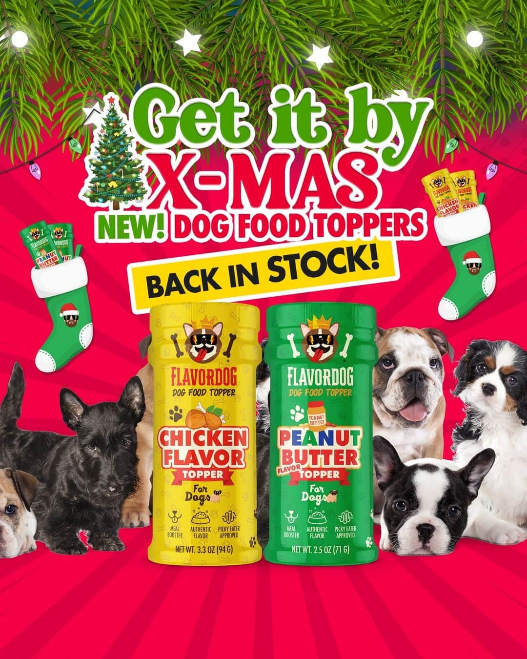 Flavorgod Seasoningsのインスタグラム：「🎅❗Get it before Christmas! Back in STOCK! Flavorgod Dog Toppers are the perfect Christmas present for your dog and add flavor to their meals! 🎁❗Shop Now!!⁠ Click link in the bio -> @flavorgod | www.flavorgod.com⁠🎄🎅⁠ -⁠ Flavor God Seasonings are:⁠ 🎅ZERO CALORIES PER SERVING⁠ 🎄MADE FRESH⁠ 🎅MADE LOCALLY IN US⁠ 🎄FREE GIFTS AT CHECKOUT⁠ 🎅GLUTEN FREE⁠ 🎄#PALEO & #KETO FRIENDLY⁠ -⁠ #food #foodie #flavorgod #seasonings #glutenfree #mealprep #seasonings #breakfast #lunch #dinner #yummy #delicious #foodporn」