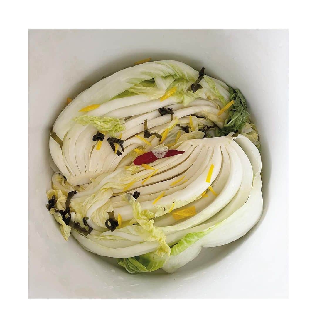 井山三希子さんのインスタグラム写真 - (井山三希子Instagram)「・ 白菜漬け 少し塩が多かっけど 美味しい〜」12月16日 8時47分 - nikoyagi