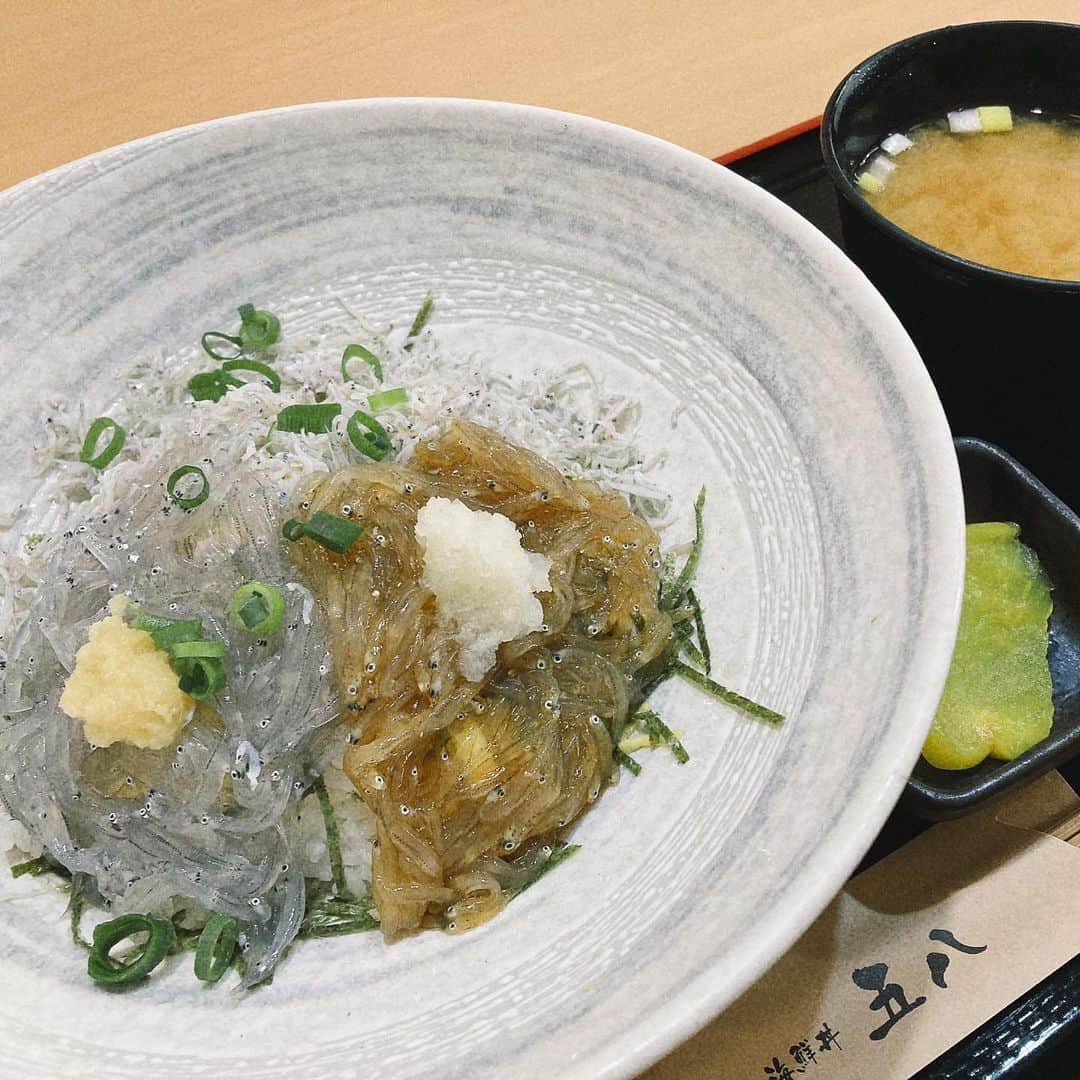 藤原絵里のインスタグラム：「・ ご馳走さまでした🐟 ・ #しらす丼 #三食丼 #湘南グルメ #生しらす」