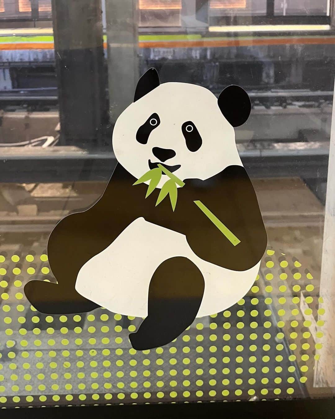 吉村恵里子さんのインスタグラム写真 - (吉村恵里子Instagram)「・ 少し前に上野へ遊びにいきました🐼  上野駅って独特の雰囲気があって 何度行っても観光気分を味わえますね。  駅のホームには可愛いパンダのイラストがあり、思わずパシャリ📸 アメヤ横丁の商店街の賑やかさも好きです。  #上野 #アメ横 #パンダ #観光」12月16日 9時44分 - yoshimura_eriko