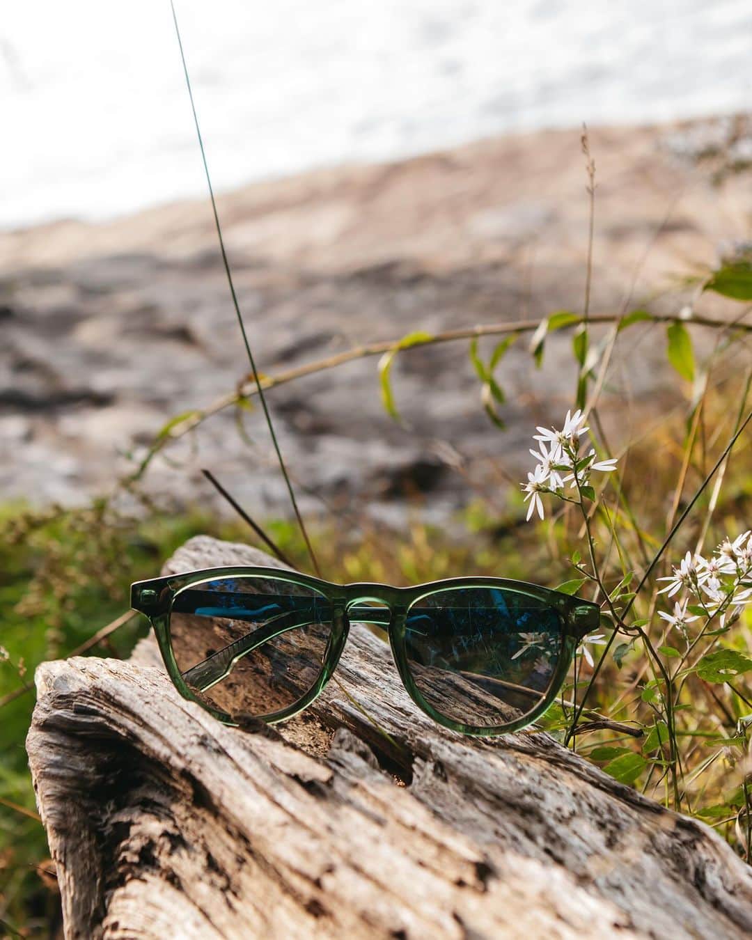 シュウッドのインスタグラム：「Shiny and new alert 💫  Shwood’s Francis ACTV sunglasses are engineered to conquer all your outdoor adventures with you.  Hiking, biking, boating- the Francis ACTV is your top pick to keep you shaded.」