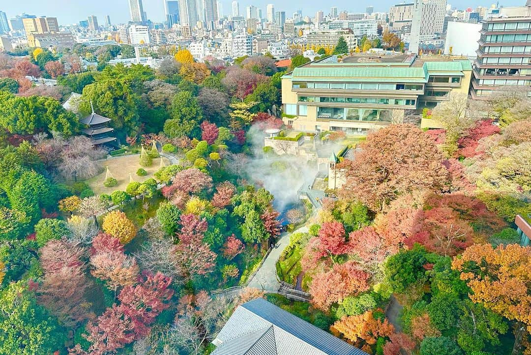 ホテル椿山荘東京さんのインスタグラム写真 - (ホテル椿山荘東京Instagram)「. The beautiful season of autumn leaves🍁  @hotelchinzansotokyo_official  #hotelintheclouds #autumnleaves #autumntokyo  #japanesegarden #autumnseason #hotelview  #紅葉 #紅葉スポット #東京雲海 #秋の風景  #客室からの眺め #自然の景色 #美しい景色」12月16日 16時49分 - hotelchinzansotokyo_official