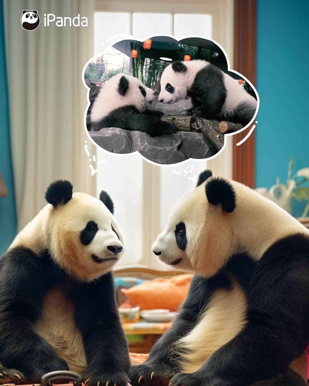 iPandaさんのインスタグラム写真 - (iPandaInstagram)「Panda Meng Xiang and Meng Yuan are about to conclude their four-year stay in Germany, and are returning to China with the love from the Germans! Thank you Germany for your care over the past four years. 🐼 🐼 🐼 #Panda #iPanda #Cute #ChengduPandaBase #PandaNews #PandaPic #FriendshipMessenger #ReturnOfPandas  For more panda information, please check out: https://en.ipanda.com」12月16日 12時55分 - ipandachannel