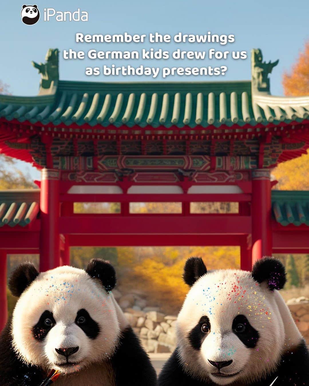 iPandaのインスタグラム：「Panda Meng Xiang and Meng Yuan are about to conclude their four-year stay in Germany, and are returning to China with the love from the Germans! Thank you Germany for your care over the past four years. 🐼 🐼 🐼 #Panda #iPanda #Cute #ChengduPandaBase #PandaNews #PandaPic #FriendshipMessenger #ReturnOfPandas  For more panda information, please check out: https://en.ipanda.com」