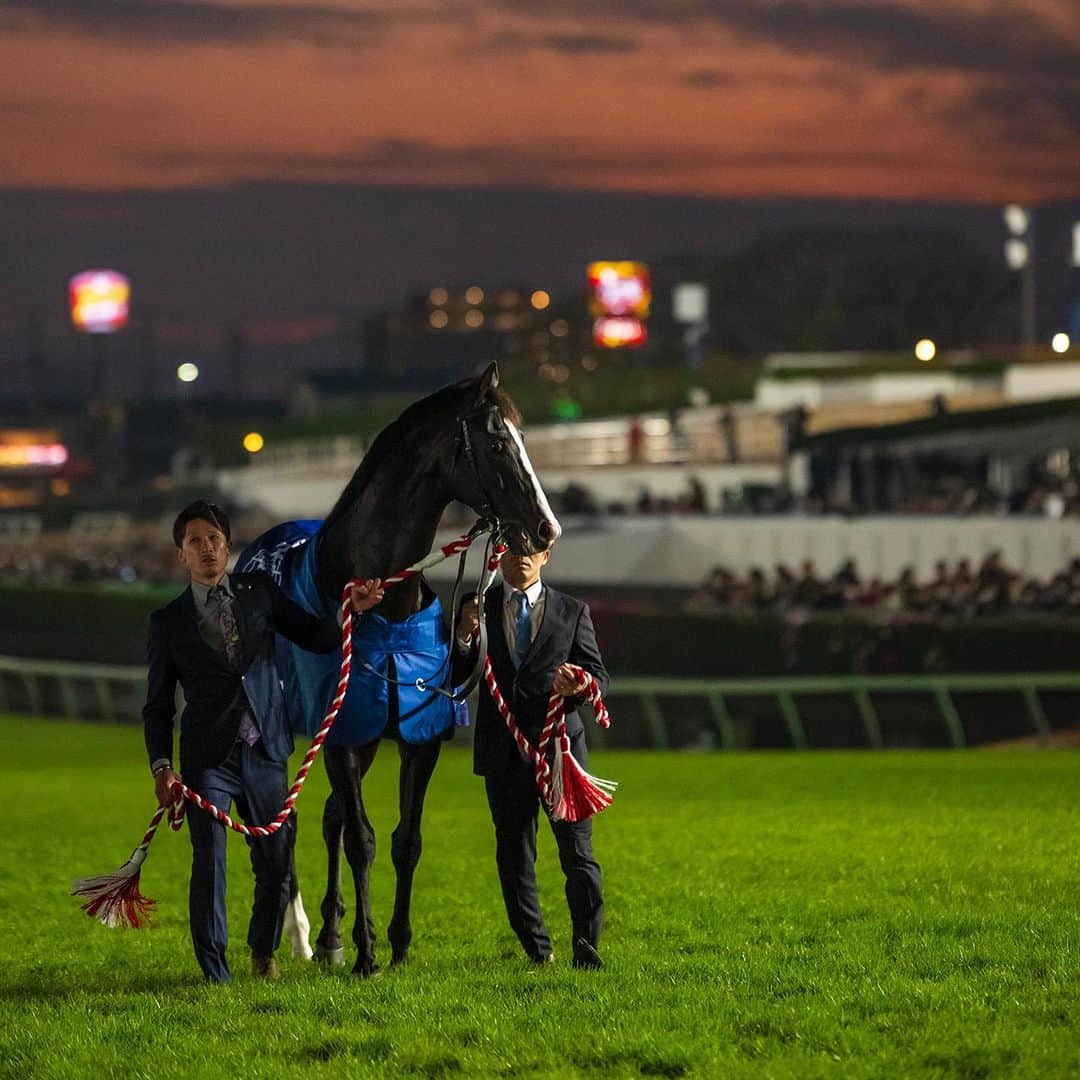 クリストフ・ルメールさんのインスタグラム写真 - (クリストフ・ルメールInstagram)「🥹🥹🥹  Scenes from EQUINOX’s retirement ceremony at Nakayama yesterday 🇯🇵  📸 Tomoya Moriuchi/Netkeiba  #イクイノックス | #引退式 | #競馬」12月17日 1時16分 - christophelemaire_officiel