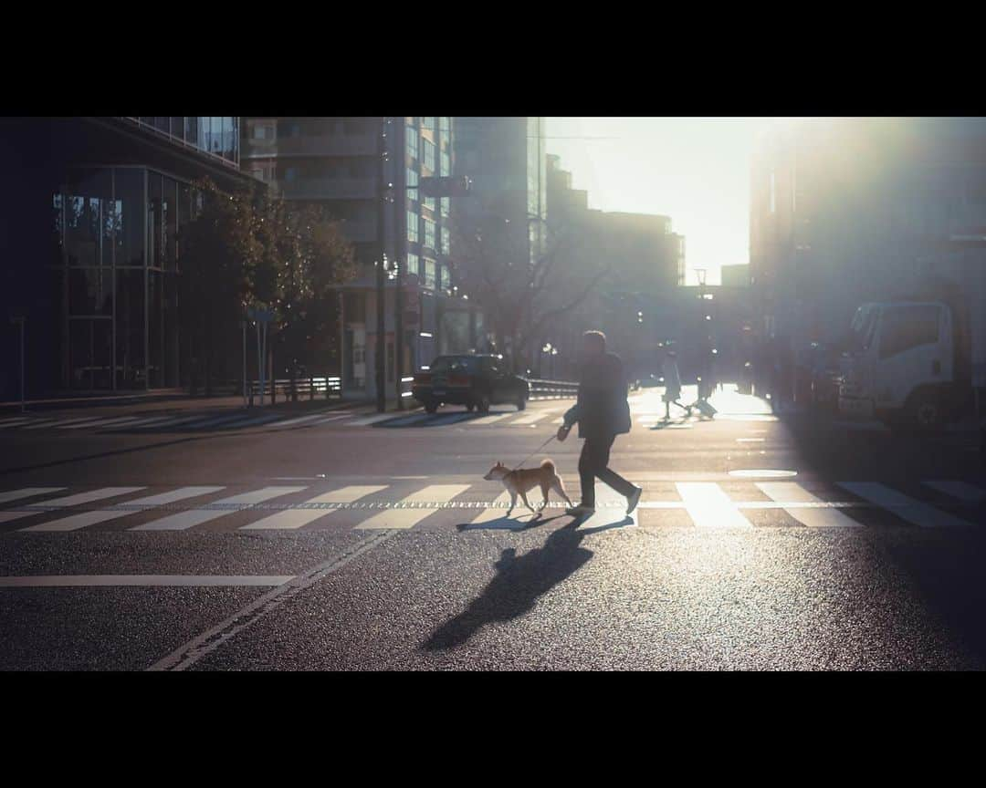 kazhixさんのインスタグラム写真 - (kazhixInstagram)「Tokyo Rhapsody   -Walking the dog-  #映画のワンシーンのような一枚を  ⤴︎みなさんもタグ気軽に使ってくださいね。  by SONY   #instagram  #igersjp #HelloFrom Tokyo #ファインダー越しの私の世界  #tokyocameraclub #daily_photo_jpn #tokyoartsandculture #JapanCityBlues #TokyoTokyo #streetfinder #eyephotomagazine #cinema_streets  #urbanromantix #street_avengers #streetleaks #sublimestreet #streets_storytelling #storyofthestreet #streetsgrammer #streetmoment #voidtokyo  #streetgrammers #shadow_magazine #オールドレンズに恋をした  #オールドレンズの世界 #オールドレンズ部 #オールドレンズで繋がりたい #photo_f16 #cinematicshine」12月16日 17時45分 - kazhix