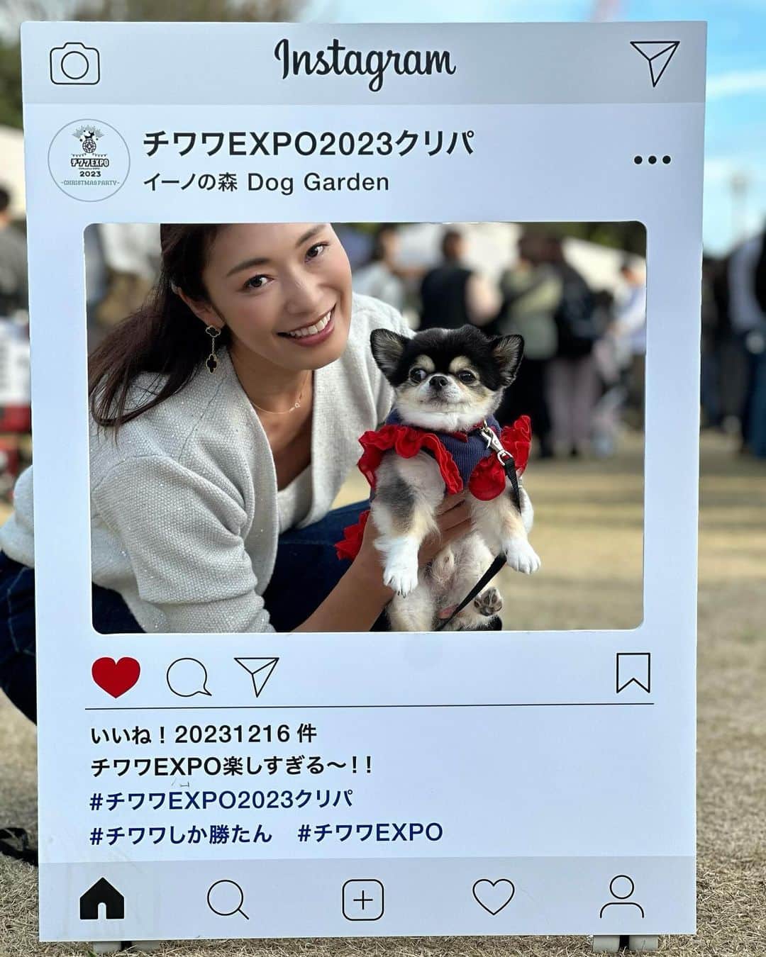 小早川怜子のインスタグラム：「愛犬とお出かけ❤️  チワワちゃんがいっぱいで夢空間でした😍  ちわわせー🥰  オンリーファンズと ファンティアやってるよ❤️ 見てね〜😘」