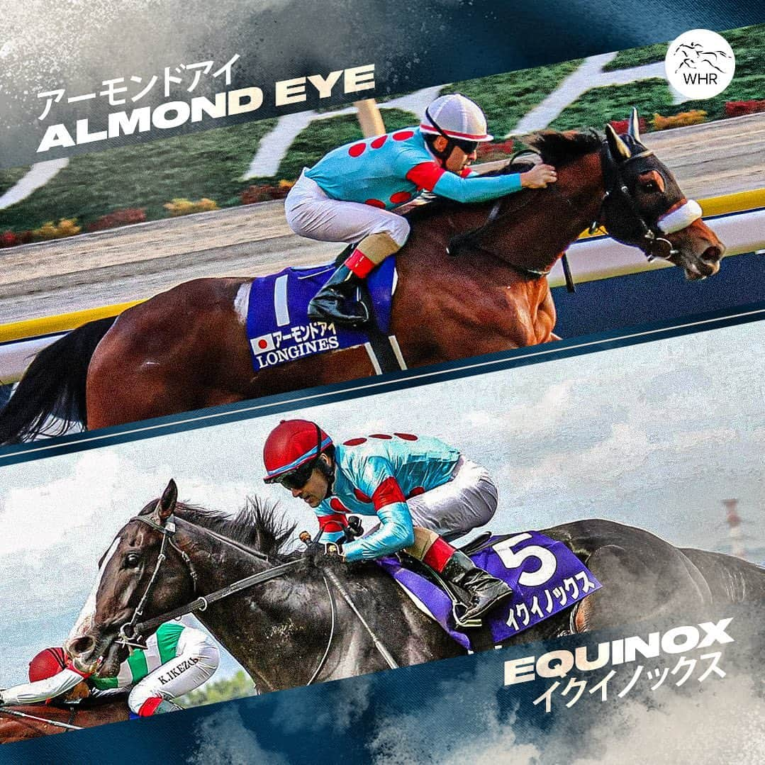 クリストフ・ルメールさんのインスタグラム写真 - (クリストフ・ルメールInstagram)「It’s already the most anticipated foal of 2025…  ALMOND EYE will visit EQUINOX in his first season at stud!  #イクイノックス | #アーモンドアイ | #競馬」12月16日 19時17分 - christophelemaire_officiel