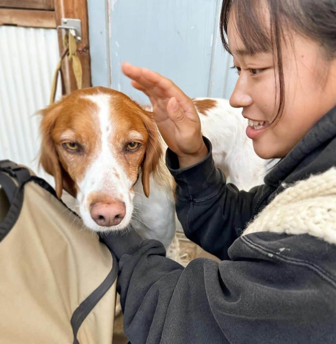 黄川田としえさんのインスタグラム写真 - (黄川田としえInstagram)「少し前にリーちゃんと行った三浦半島。 海も波も富士山も、猫も犬も、海鮮丼もアイスもドーナツも、夕日も綺麗でみんな最高。会いたかった友達にも会えてしまった！！  この日は珍しく電車でプチトリップで、すごい楽ちんで行きも帰りも母は爆睡でした。 小さい頃を思い返したら、週末は2人でいろんなところに車で遠征に出かけてたなぁと。どれくらいの距離を走っただろう。。。🚙=3 そういう思い出も私の宝物☺︎  海はやっぱりいいね〜。とってもリフレッシュできた日でした。  #tottorico #母娘 #みさきまぐろきっぷ #城ヶ島#三浦半島」12月16日 19時22分 - tottokikawada