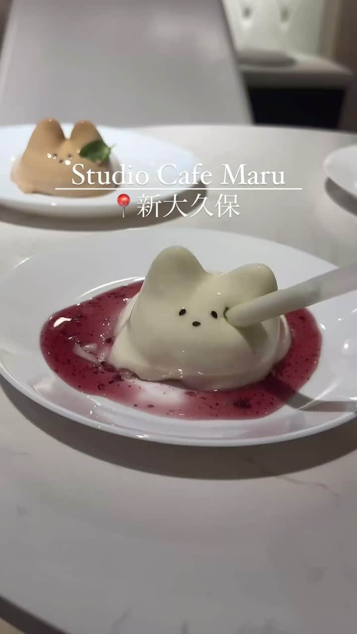 RETRIP<リトリップ>グルメのインスタグラム：「【RETRIP×東京🍮】 こちらは、東京・新大久保にある「#studiocafemaru（@studiocafemaru）」です。ぷるっぷるのねこちゃん「トスニプリン」がブーム中🐱ストローで吸えちゃうくらいの滑らかさと、ぷるぷる揺らしても崩れない不思議な食感が大人気です✨平日のお昼でも売り切れてしまうことがあるくらい、話題沸騰中！濃厚なフレーバーは、バニラ、イチゴ、ミルクティーの3種類から選ぶことができますよ😌癖になる可愛さを、是非あなたも味わってみては？  [スポット情報] 📍住所： 東京都新宿区百人町2-2-7 ソウルタウン3F 🚃最寄り駅：新大久保駅より徒歩2分 🕐営業時間：11:00〜21:00 🗓定休日：なし 📝予約：不可  ※投稿時の情報となります  ・  Photo by @______t_cafe88 ______________________________  全国で話題のスイーツを紹介しているアカウントです！ 他の投稿はこちらから！ >> @retrip_gourmet  ______________________________  RETRIPでは「おでかけ」に関する様々な情報を発信しています。ぜひ他のアカウントもチェックしてくださいね！ . @retrip_news 最新のおでかけ情報を紹介 @retrip_nippon 日本の絶景を紹介 @retrip_global 海外の絶景を紹介 @retrip_gourmet 全国の話題のグルメを紹介 @retrip_cafe 全国のおしゃれなカフェを紹介 . ▼RETRIP[リトリップ]のアプリ 最新情報をまとめてご覧になりたい方には『RETRIPアプリ』がおすすめ！明日のお出かけにすぐ活かせるアイディアが盛りだくさんです✨プロフィールのURLからダウンロードできますので、ぜひご利用ください。 .  ______________________________  #retrip #リトリップ #retrip_groumet #retrip_cafe #国内グルメ #東京グルメ #国内カフェ #東京カフェ #グルメ日記 #飯テロ #食べ歩き #groumetstagram #japanesefood #カフェ #スイーツ #カフェ巡り #かふぇすたぐらむ #スイーツ好きと繋がりたい #instafood #新大久保 #新大久保グルメ #新大久保カフェ #トスニプリン #猫プリン #ニューオープン #新店舗」