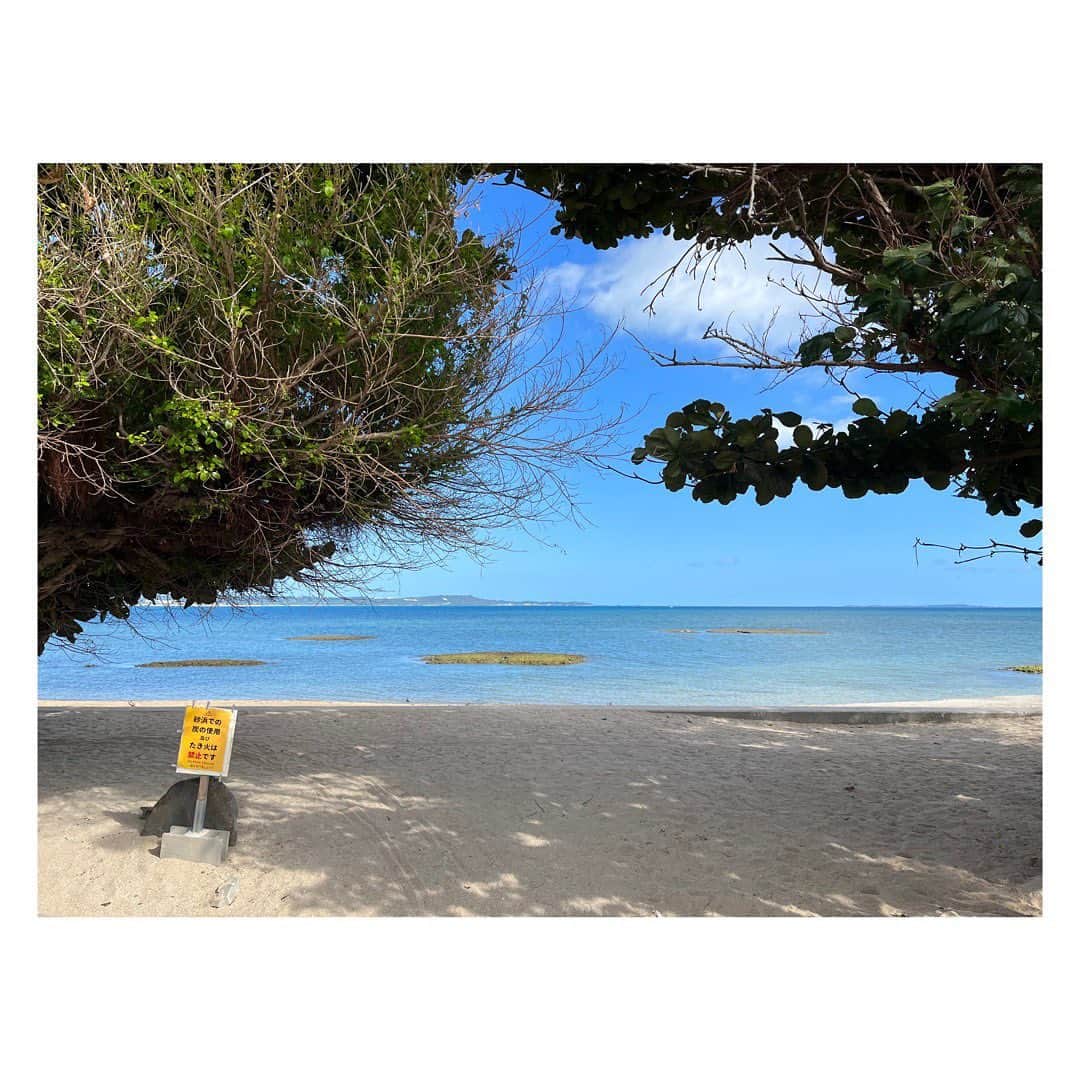 田辺あゆみさんのインスタグラム写真 - (田辺あゆみInstagram)「🌴 12月の沖縄は、びっくりするくらい夏だった。 日差しがじりじりと突き刺さり、日焼けしたような。  滞在中盤に発熱してしまい、思ったように動けず不完全燃焼🫠 思い返せば、前回も帰るころに体調崩したなー🙄 沖縄きたら、もっとゆっくりと過ごしなさいなってことかな。  会えずじまいになってしまった友人や、行きたかったお店いろいろ、また次回の楽しみにとっておきますー。すぐに戻れたらな✨  最後はどうしても寄りたかった憩いのビーチへ。 つきあってくれた友人が、暑い中 @freaksstore_official のスウェット着てくれてて、自分もパンツはいてるし、バッグまでもお揃い😆 そして全員 @ari_madeinthailand のキャップ🧢で、完全にユニフォームと化してました。 みんな気に入ってくれててうれしいよー🥰」12月16日 20時17分 - _ayumitanabe_