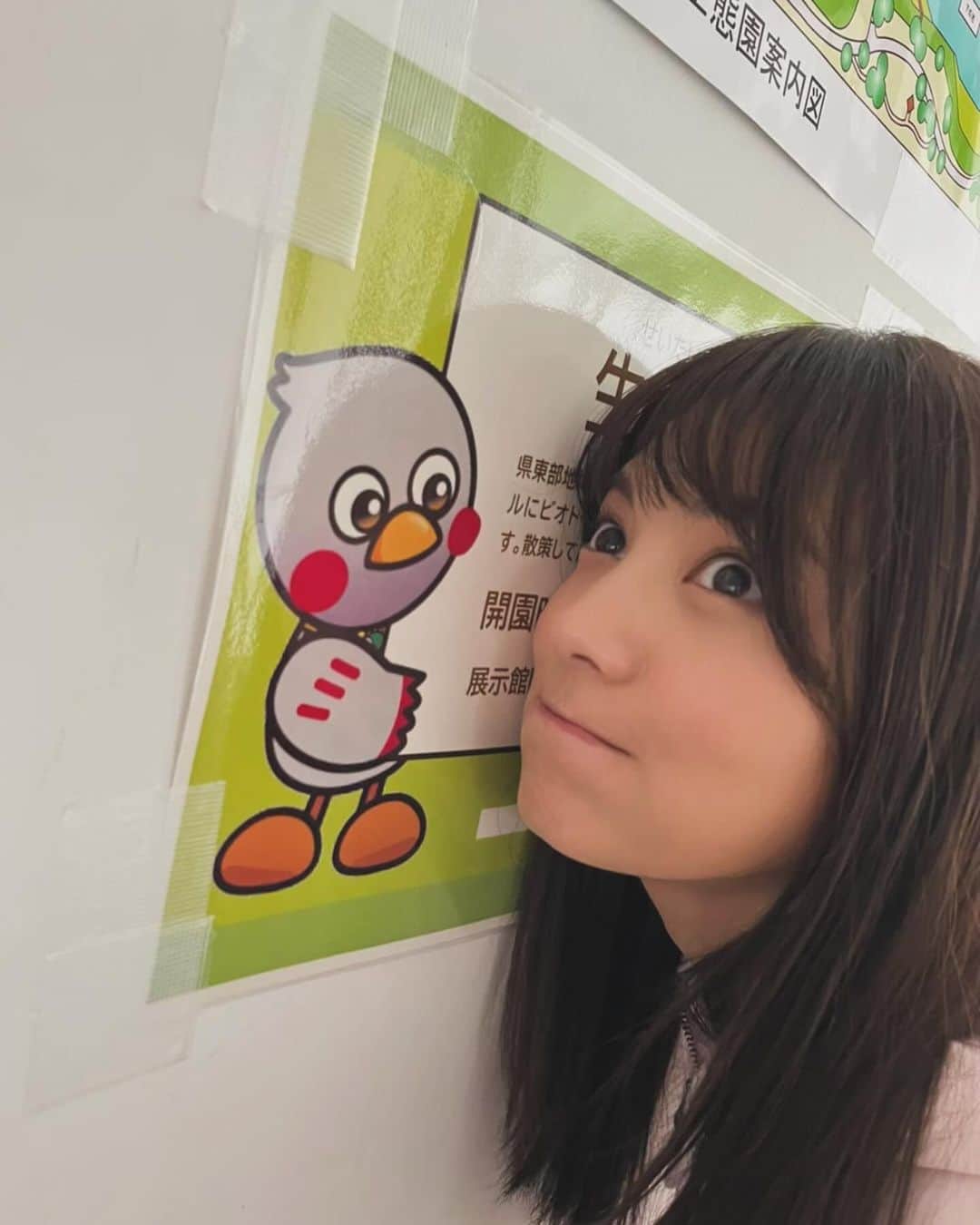 松永有紗さんのインスタグラム写真 - (松永有紗Instagram)「マネージャーです🦦  昨日公開となった 『#仮面ライダーギーツ ジャマト・アウェイキング』 の予告はご覧いただけましたでしょうか❓ 来春の公開をご期待ください〜☘️  本日の写真は、、 いつかの松永さんと🥗 仮面ライダー撮影オフショットの松永さんと🐣 とある日の松永さん🌪️  #松永さん  #写真  #matsunagasan  #wind  #photo  #happy #photography」12月16日 20時20分 - arisa_matunaga