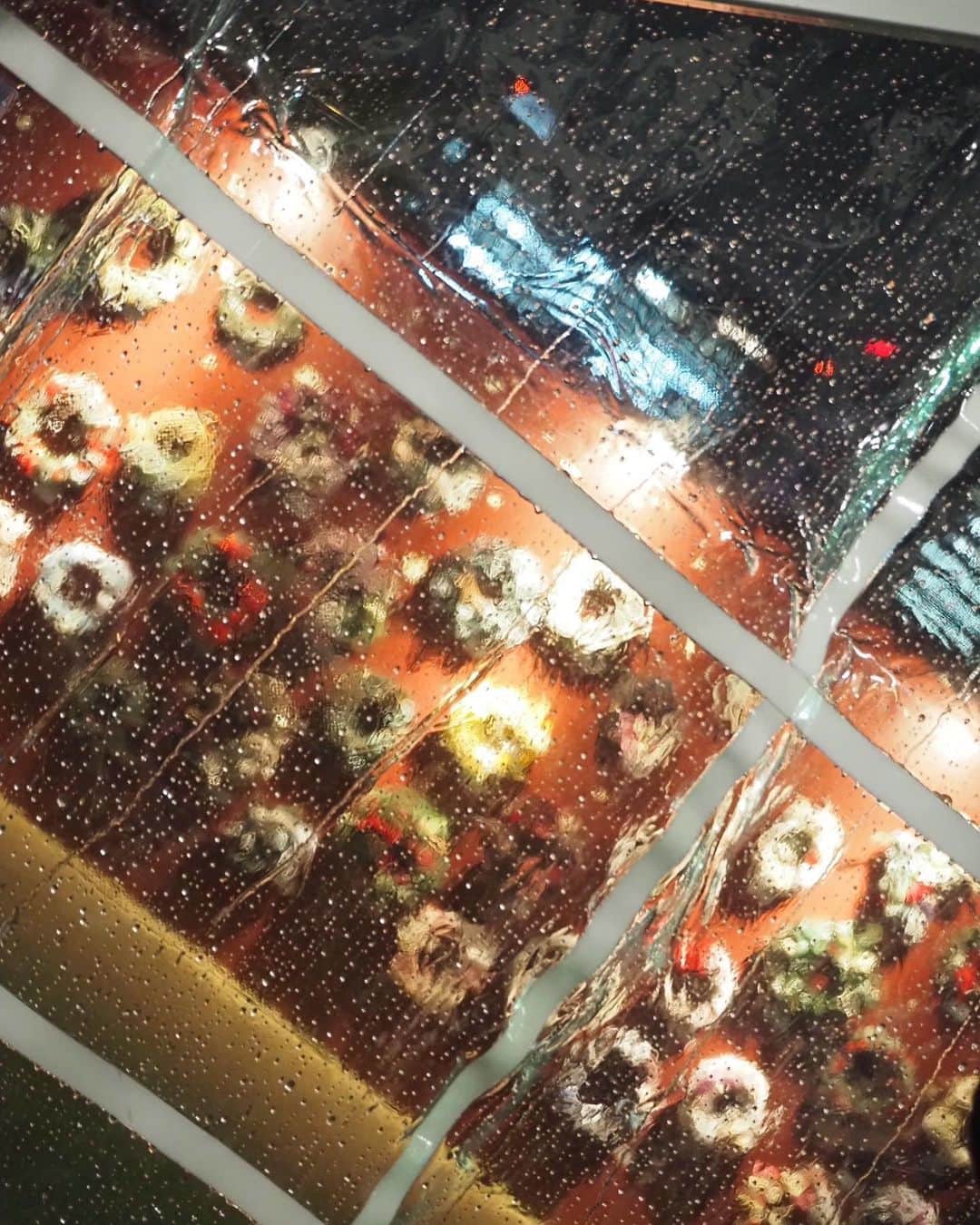 佐藤璃果さんのインスタグラム写真 - (佐藤璃果Instagram)「. 雨のクリスマスマーケット🎄.*   #licagram #licamera  #クリスマスマーケット」12月16日 21時29分 - lica_sato_official