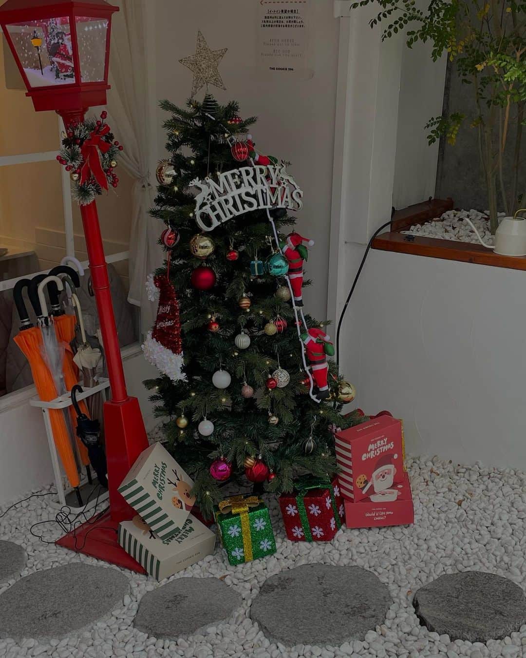 碓井玲菜さんのインスタグラム写真 - (碓井玲菜Instagram)「クリスマスっぽいことしたくて、大きいリボンつけてちゃったりして、かわいい〜すぎるカフェに行ったよ🍪🎄🫎」12月16日 21時42分 - reina_usui