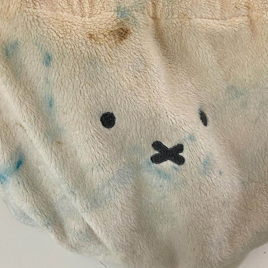 加藤結さんのインスタグラム写真 - (加藤結Instagram)「オンラインサイン会のほうも最高でございました……！ 人生初、憧れていたオンラインサイン会🥰遠くに住んでいる人などの存在もたくさん感じていたので お名前呼べる、身近に感じてもらえるタイミングどこかでないかしら〜と日々思っていました。 リアルサイン会来てくれた方のお名前も見かけたねー！！それもまた嬉しかったな……  マネさんにお話聞くと 売り切れないように発注してくれてたみたいで、私もそういう雰囲気を感じとっていたので ソールドアウトって見た時は｢バグってるわよ！！｣と思い連絡しました。 おめでとうのケーキ、どきどきしてあんまり味わえなかったけどw、幸せでした。  またこういう機会、あるといいなあ！！！！ フォトブック、届いたら、ゆっくり楽しんで貰えたらうれしいです。 あなたにとっても大切な1冊になりますようにーーーなれーーーーっっっっ」12月16日 21時59分 - ka10san_