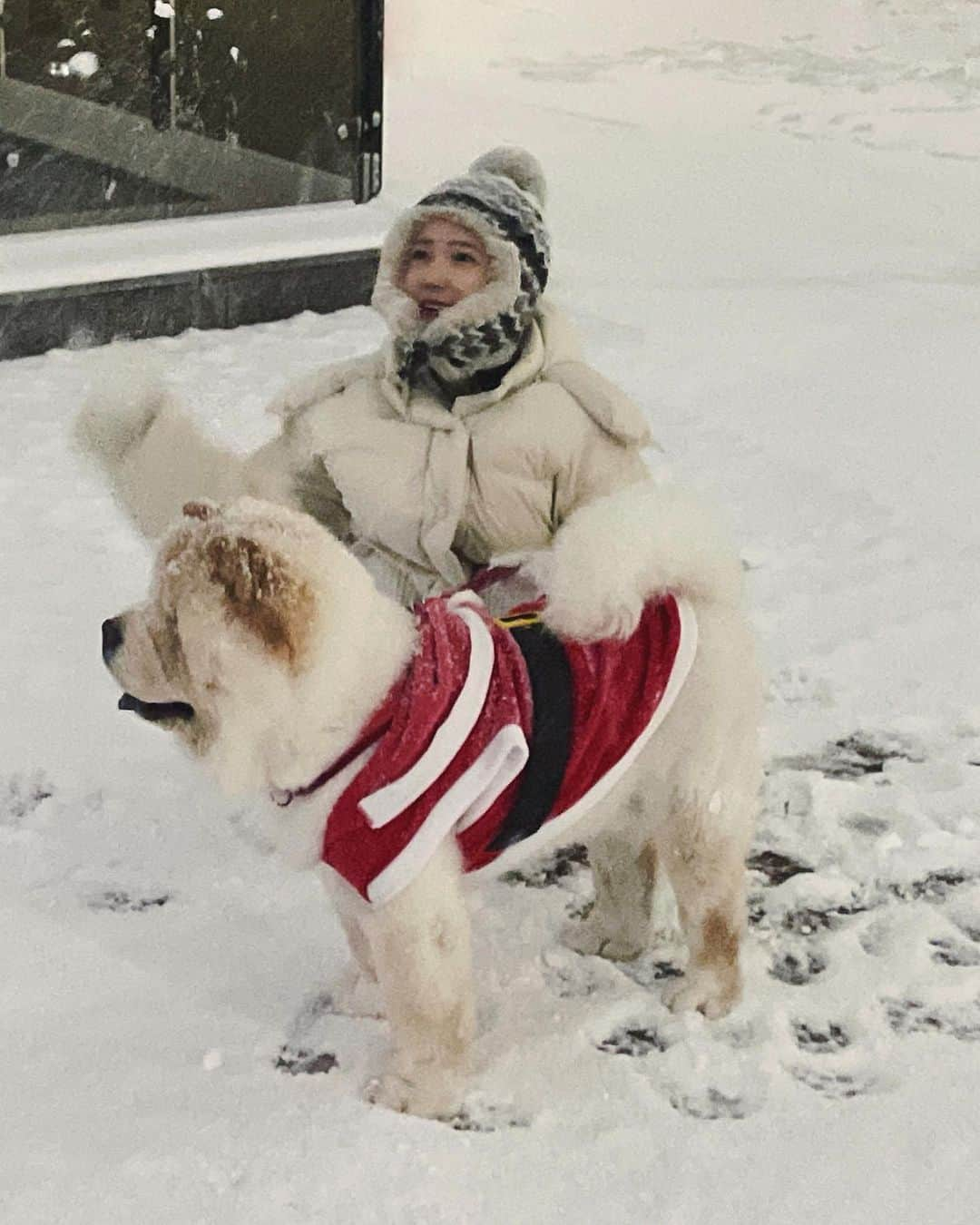 キム・ミニさんのインスタグラム写真 - (キム・ミニInstagram)「눈만 쌓이면 난리나는 우리는 썰매 가족 겨울을 제일 좋아하는 청순이 오늘 좀 산타같아요? 🎅🏻❤️」12月16日 22時20分 - mimiwor