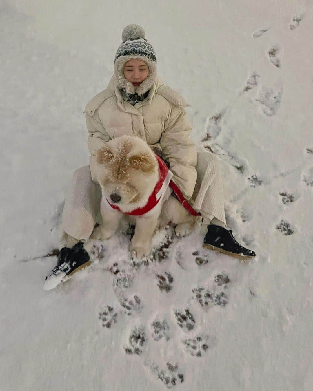 キム・ミニさんのインスタグラム写真 - (キム・ミニInstagram)「눈만 쌓이면 난리나는 우리는 썰매 가족 겨울을 제일 좋아하는 청순이 오늘 좀 산타같아요? 🎅🏻❤️」12月16日 22時20分 - mimiwor