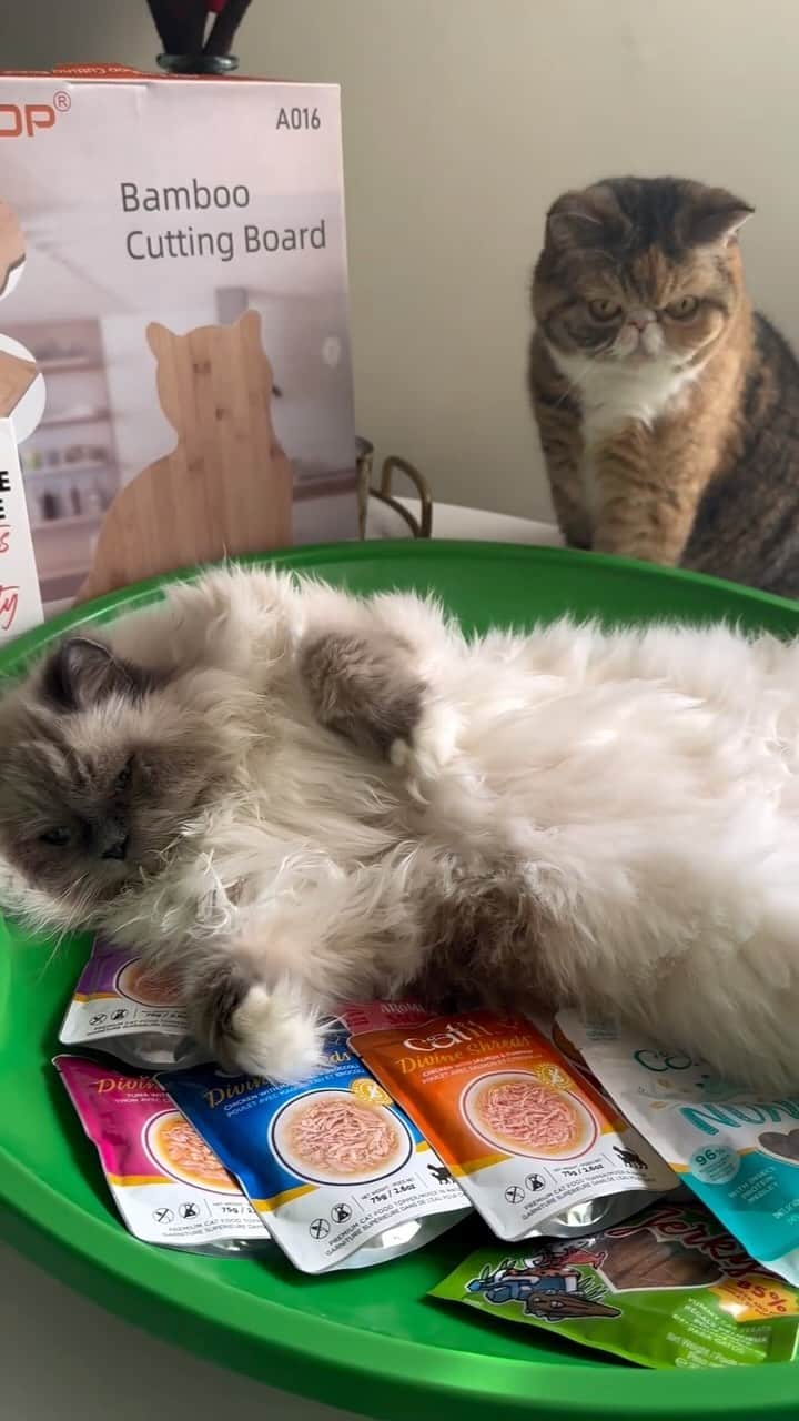 Tinaのインスタグラム：「Thank you @catitusa for the wonderful holiday surprise!🎄 George and Wheezy can’t wait to dig in! For the month of December, for every post Catit receives that tags @catitusa and uses #catitgivingtree, one meal or other treat will be donated to a cat in need. ❤️❤️❤️」