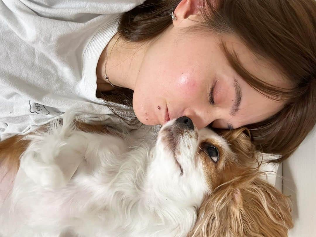 奥山夏織さんのインスタグラム写真 - (奥山夏織Instagram)「ティナちゃん❤️ いつも癒しをありがとう🥰 ・・・ #犬のいる暮らし #キャバリア#キャバリアキングチャールズスパニエル  #ティナ #犬好き #🐶 #子犬 #キャバリア子犬 #キャバリアパピー#2歳#成犬 #CavalierKingCharlesSpaniel #犬バカ#小型犬 #instadog #犬スタグラム#いぬすたぐらむ#極小キャバリア」12月17日 10時18分 - okuyama_kaori