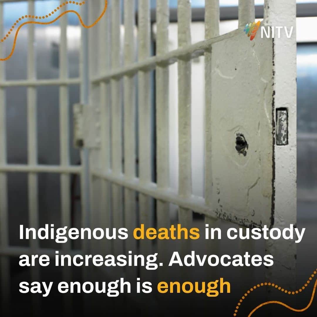 トームのインスタグラム：「#repost @nitv_au  The highest number of Indigenous people have died in custody since 1980. Advocates say enough is enough  Cheryl Axleby believes the high rate can be attributed to "racist law-and-order politics and policies" that "cost lives".  Forty people died in police custody in the last financial year, one of the highest numbers of deaths in more than three decades.  The Australian Institute of Criminology released its annual report into deaths in custody on Thursday, finding 110 people died in 2022-23.  There were 31 Indigenous deaths and 79 non-Indigenous deaths in custody.  Indigenous people make up less than 4 per cent of the general population but about 33 per cent of prison numbers.」