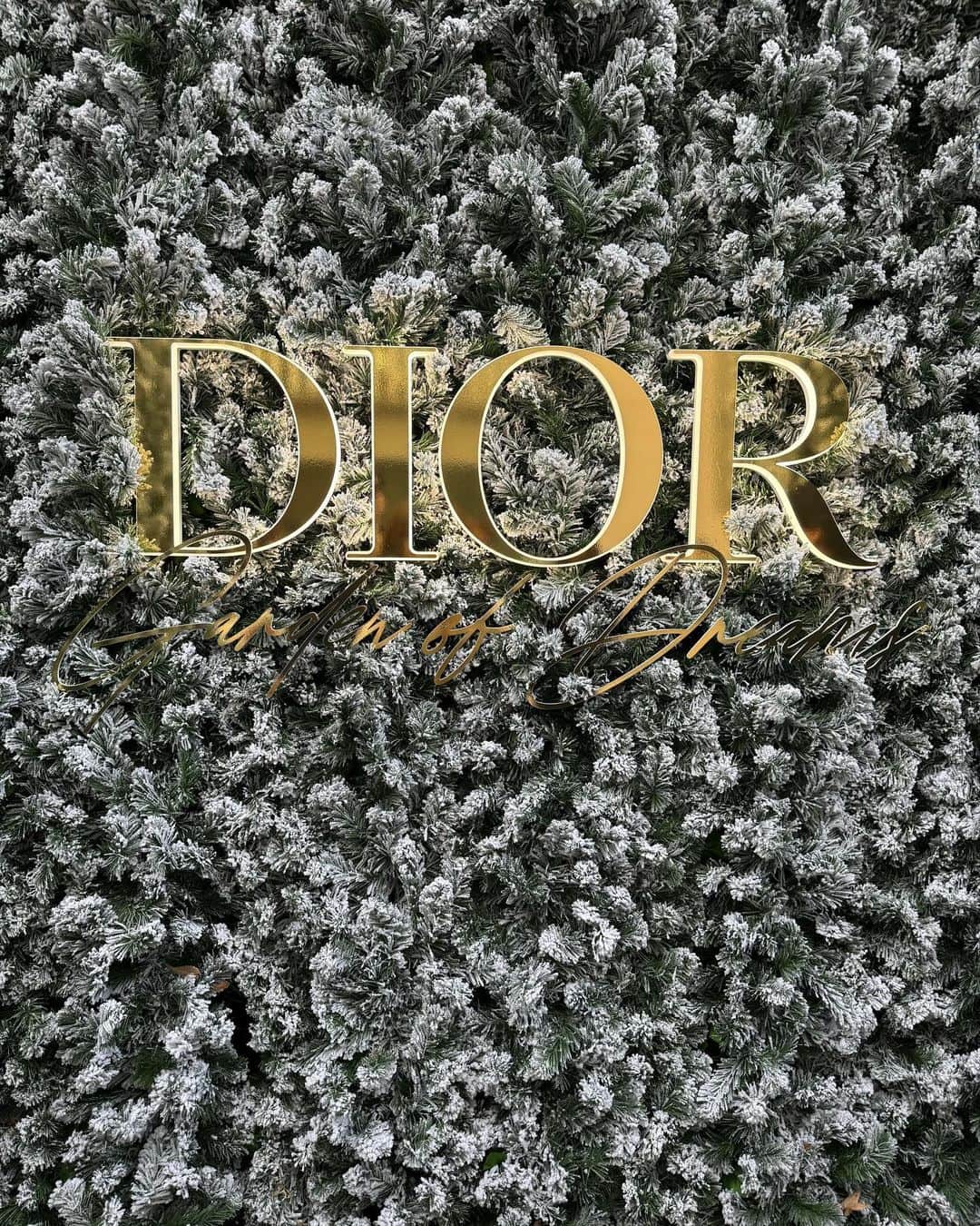 桜木ひなさんのインスタグラム写真 - (桜木ひなInstagram)「♡dior♡ Dior Garden of dreams🌲✨ holiday popup可愛いかったです💓 ・ ・ ・ #dior#diorpopup#popup#ポップアップ#六本木#六本木アリーナ#Gardenofdreams」12月17日 8時21分 - hina_sakuragi