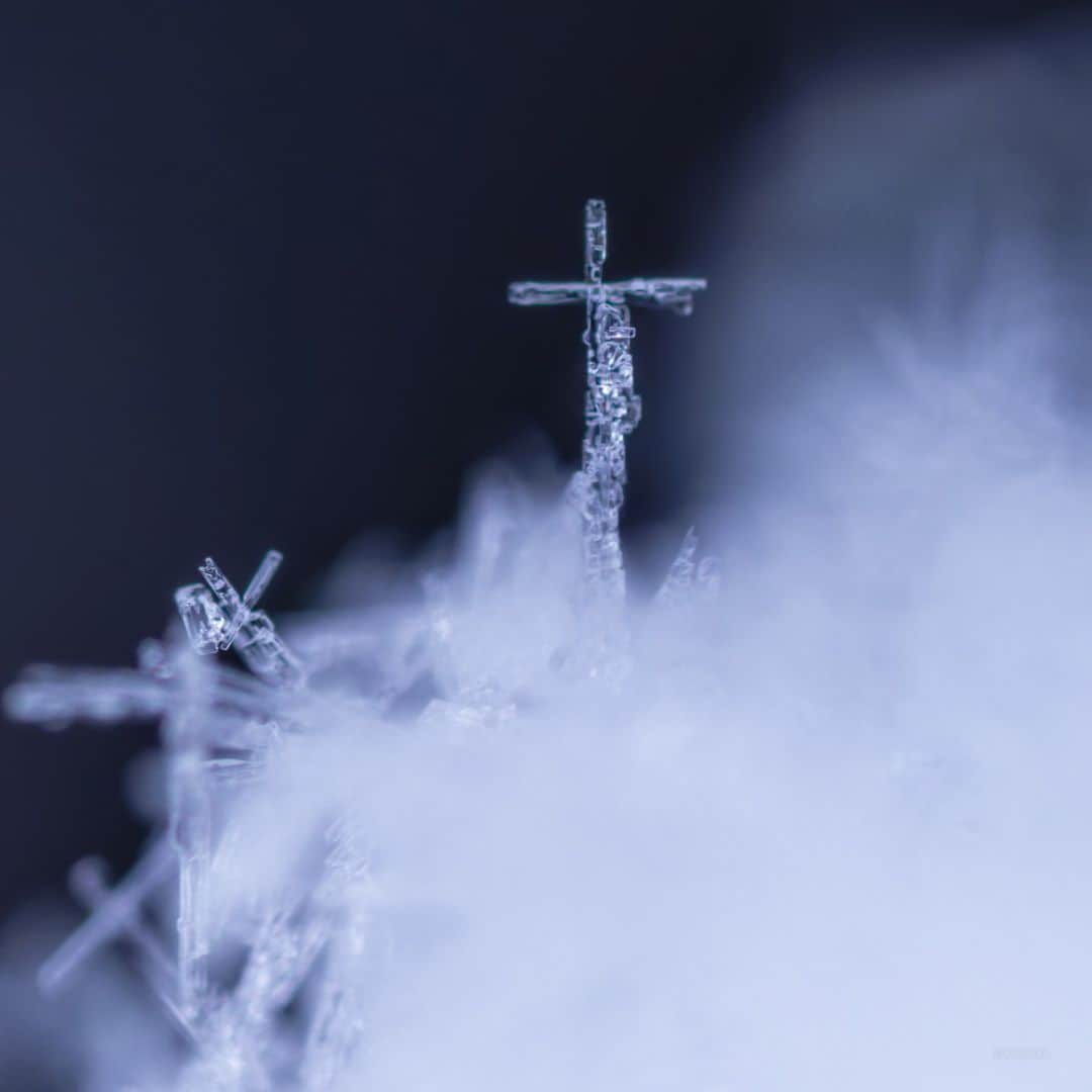 KAGAYAのインスタグラム：「天空からゆっくり舞い降りた白い雪の中に、十字の結晶を見つけました。 （昨日朝、北海道にて撮影）  #北海道 #雪 #結晶」