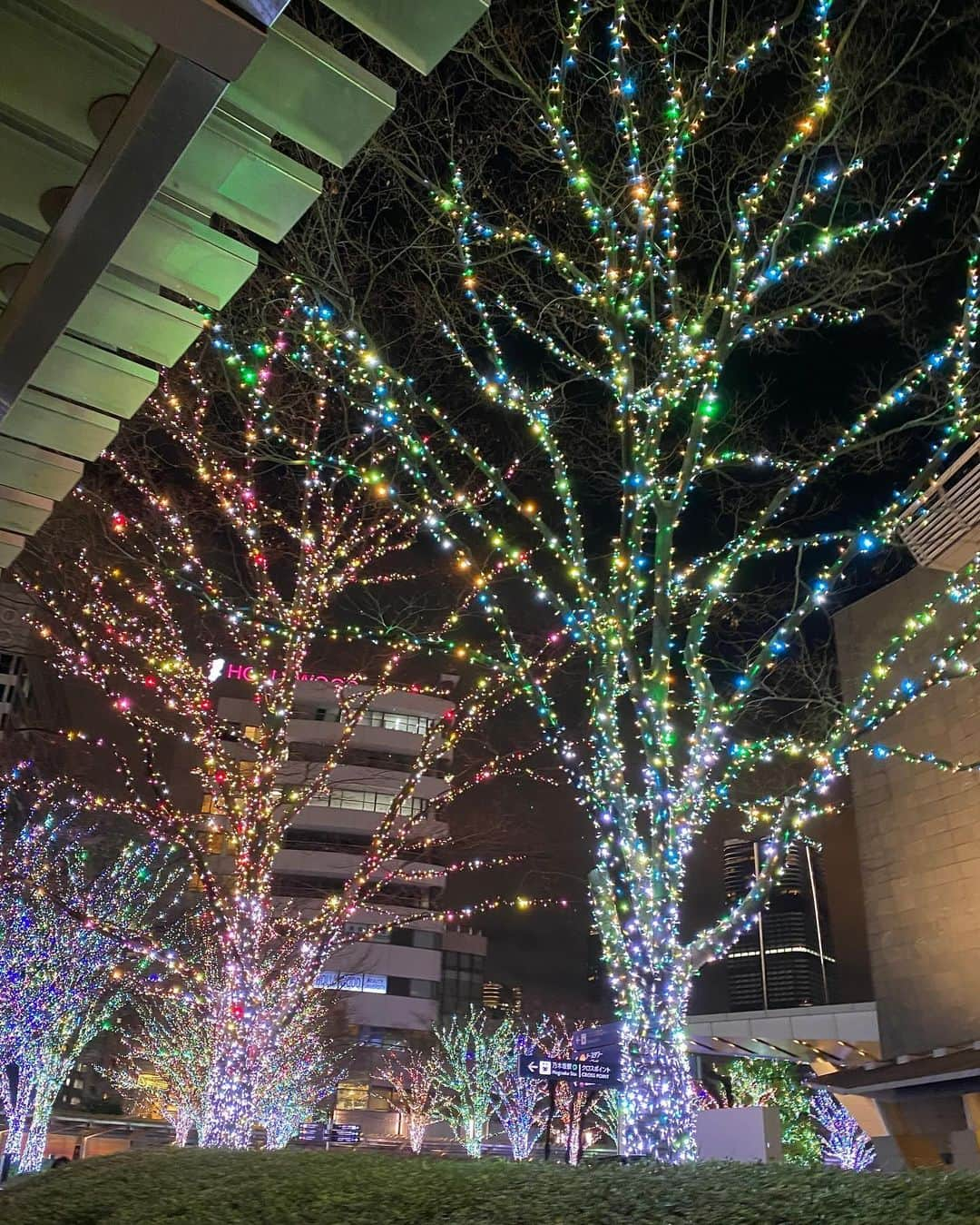 朝倉真弓さんのインスタグラム写真 - (朝倉真弓Instagram)「【都心の夜にドキドキ💓】  数年ぶりにクリスマスの季節の六本木へ🎄 　 　 印象年齢マイナス10歳 《美姿勢＆品格ウォーキング®︎》  インストラクター・朝倉真弓です。  @mayumi_asakura  　 都心の夜遊びとは縁のない私。  ですが、お友達との食事会のため、数年ぶりに夜の六本木に出かけました。  キラキラなイルミネーションや、クリスマスマーケットの賑わいにワクワク❤️  可愛らしいおしゃれの若い人たちや、小粋な紳士&マダムの姿にウキウキ❤️  インスタで拝見していた大好きなモデルさんにバッタリとお会いしたり、お気に入りのアクセサリーのポップアップショップを覗いたり。  都心ならではの華やかさに圧倒されながらも、たまにはこういった場所で目と心を楽しませるのも大切だなと感じた夜でした。  　 #六本木ヒルズ #クリスマスマーケット #カルティエ   #品格ウォーキング #美姿勢 #ウォーキング講師 #ウォーキングインストラクター  #ウォーキング #ポージング #グレイヘアモデル #グレイヘア #朝倉真弓」12月17日 20時17分 - mayumi_asakura