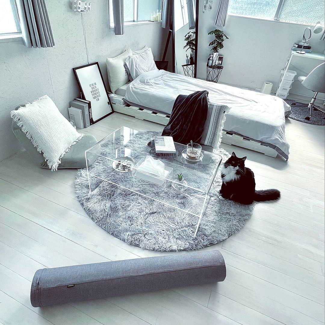 RoomClipJPさんのインスタグラム写真 - (RoomClipJPInstagram)「この部屋が素敵だなと思ったら「☁️」(くも)とコメントしてください！ 1R全体の空間の使い方がお見事なERIKAさん宅✨ 白やグレー以外にクリア素材のアイテムを取り入れることで、透明感が増してより広く見えますね！ ---------------------------------------  Photo: ERIKA RoomNo.  1610858   --------------------------------------  ぜひ「RoomClipムービー」のハッシュタグで 皆様の素敵なお部屋を撮影した動画を投稿してください🏠   --------------------------------------  この部屋のインテリアはRoomClipのアプリから ご覧いただけます。  アプリはプロフィール欄から ▶︎ @roomclipjp  ------------------------------------  600万枚以上集まる中から リアルな部屋のインテリア写真を毎日発信！  ------------------------------------  #一人暮らし #ひとり暮らし #大人の一人暮らし #一人暮らしインテリア #一人暮らし女子 #おしゃれインテリア #一人暮らし部屋#モノトーンインテリア#ねこのいる暮らし#ネコのいる暮らし#猫のいるくらし#ねこのいるくらし#暮らしをたのしむ#雑貨好きな人と繋がりたい#ワンルーム#ワンルームアンテリア #丁寧な暮らしに憧れる#くらしを楽しむ#日々のくらし #失敗しない家づくり#家づくりの記録  #マイホーム計画中 #おうちづくり#日常の記録 #おしゃれな家づくり#こだわりの家づくり#インテリアを楽しむ#roomclip #ルームクリップ」12月17日 20時30分 - roomclipjp