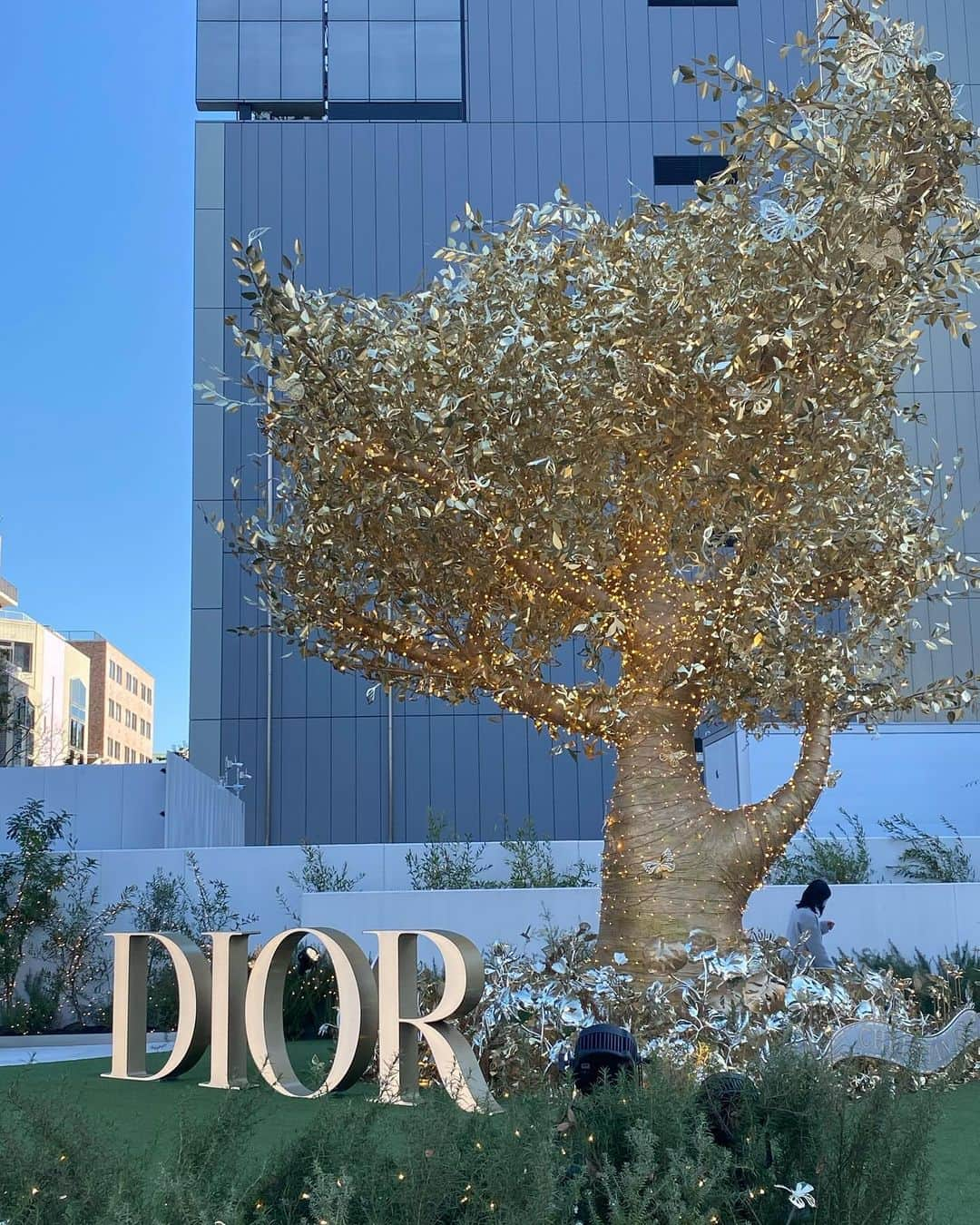 松本リコさんのインスタグラム写真 - (松本リコInstagram)「・ ・ ・ ・ dior...♡ ・ ・ ・ #表参道 #diorbag #dior #ディオール #omotesando  #フォトスポット #photosport ##japanesegirl #japangirl #ハーフ顔 #fashion #ファッション」12月17日 11時53分 - rico.matsumoto