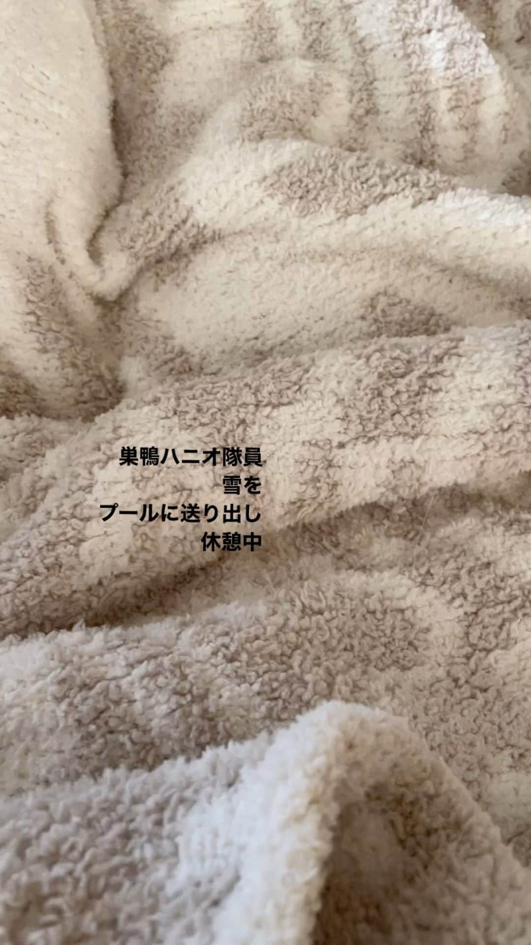 雪、ハニタビ、はちみつ（石田ゆり子）のインスタグラム