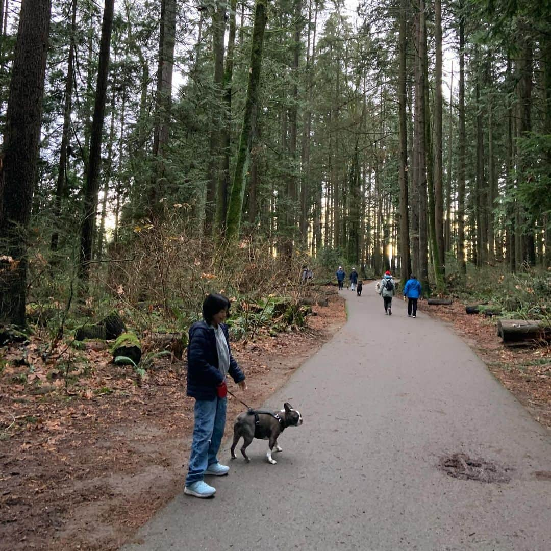 Boseのインスタグラム：「家族でバンクーバーに来ています。近くの公園を散歩するだけでも、カナダのスケールの大きさを感じることが出来る。朽ちた針葉樹も、ピックアップトラックも、鉄塔も、とにかくデカい。 #mundypark  #vancouver」