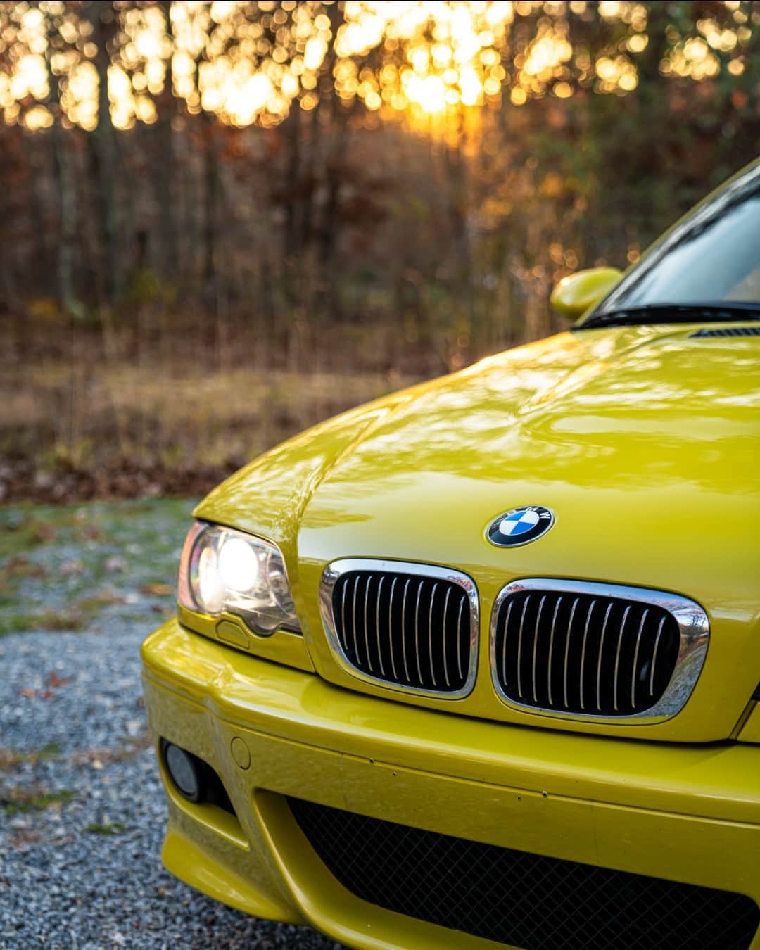 BMWさんのインスタグラム写真 - (BMWInstagram)「Phoenix Yellow to brighten up those frosty mornings ❄️🍁 📸: @ryanfriedmanmotorcars #BMWRepost  The 2004 BMW M3.  #THEM3 #BMW」12月17日 15時00分 - bmw