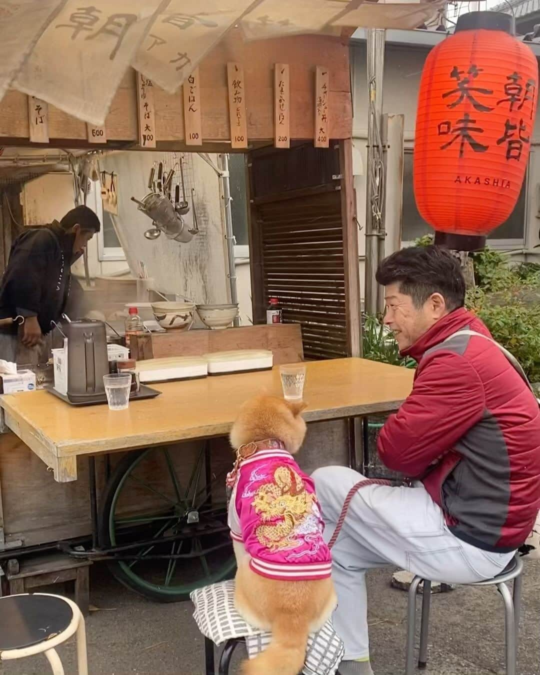 柴犬小雨のインスタグラム