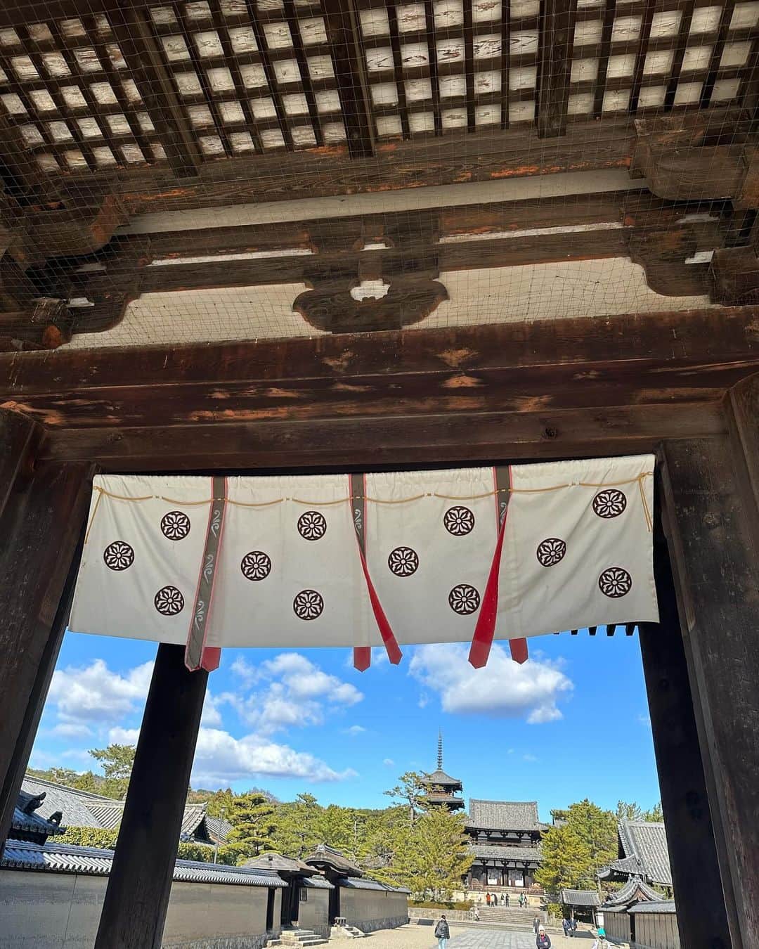 大草直子さんのインスタグラム写真 - (大草直子Instagram)「いやあ、奈良のダイナミックなこと🦌🦌🦌 修学旅行が最初で最後。それなのに、今年は２回。ハマりそうです😎  昨日の大阪後のステイだったので、限られた時間の中での今回の目的は、法隆寺。世界最古の木造建築で、創建は607年と言われています。な、な、な、なんと。すごすぎる。戦火にもみまわれず、地震や自然災害からも生き残った⇦火災はあったみたいですが　日本最初の世界遺産のパワーは素晴らしすぎた。たくさんの仏像や如来像が現存していますが、飛鳥彫刻の代表、百済観音像の、なんとたおやかで優しく、慈愛に満ちていることか。2メートル以上あるのに、威圧感はなく、優しさしかない✨✨美しいお姿を拝顔でき、心はポカポカです。⇦撮影禁止のため、ググッてね　奈良、すごい。すごすぎる。次は絶対吉野の桜の時期に来る！ ⇦奈良在住の方教えて❤️何月のいつくらいが良いですか？  そうそう、今日の奈良はとても寒くて、AMARCのダウンを着てきて良かった。パンツは @amanonlinestore で買った @protagonista_official_ の新色、グレー🩶さ、明日からまた頑張ろう。付き合ってくれてありがと❣️お会いした、奈良のみなさま、お世話になりました。 @amarclifestore  #therow #chanel #takayukikijima  #currensology  #salomon  #rayban #明日は21時から @farfetchjapan のインスタライブを #今年もたくさん買いました😛 #明日は戦利品もご紹介 #ゲストはなんとなんとなんとなんと @kyoko.hasegawa.722  #楽しみ @amarc_official のアカウントです #21時ね #dontmissit」12月17日 16時15分 - naokookusa