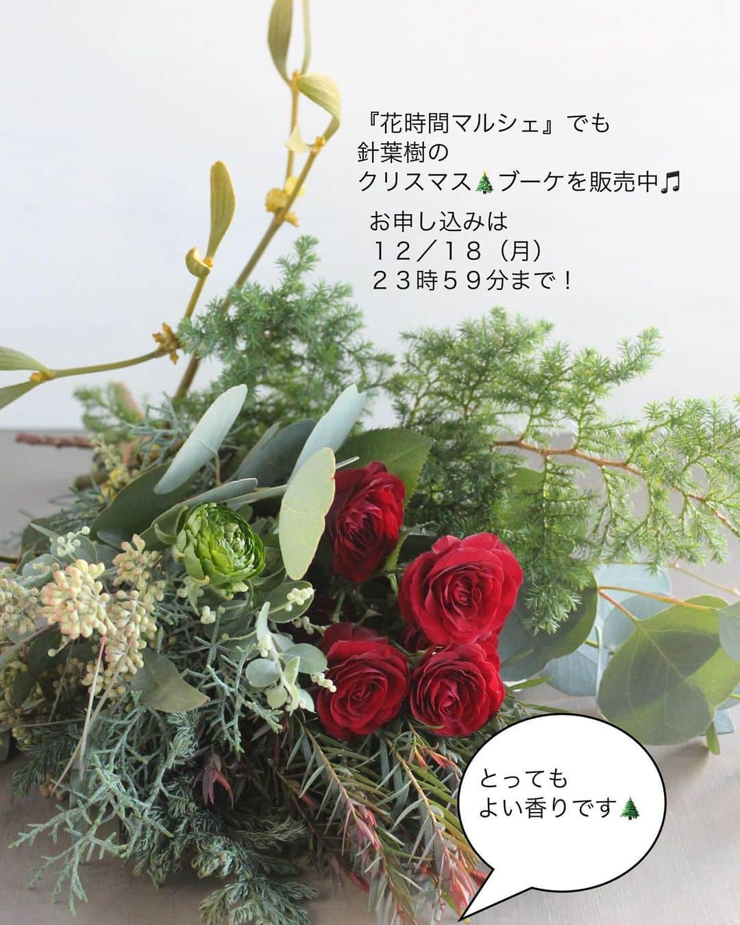 雑誌『花時間』さんのインスタグラム写真 - (雑誌『花時間』Instagram)「クリスマスは春の始まりです。  花時間（@hanajikan_magazine）です。  太陽の再生を祝う冬至の祭りとキリストの生誕祭が融合し、始まったとされるクリスマス。  春の始まりは、少し大げさかもしれませんが、日を追うごとに日が長くなり、春へ向かっていきます。  いま、花屋さんを覗くと、アネモネやチューリップ、ラナンキュラスにと、春の花が並び始めていますよね。  そんな春のお花に針葉樹を合わせて、クリスマス🎅🌲🧑‍🎄  実際は、これからが厳しい冬の始まりではあっても、春へ一歩ずつ近づいてゆく気分になれそうでしょ？  今日もあっという間に日が暮れたけど、これも冬至までの我慢。  これからクリスマスの準備をするなら、『花時間マルシェ』で販売中のクリスマスブーケ💐がお役立ち！  ひとつのブーケに、さまざまな針葉樹🌲が入りますよ✌️  では、本日もお疲れさまでした🍵 お正月も近づき、これから、てんやわんやの大忙しですが、元気smile😊😊😊頑張って、よい一年のラストスパートにしましょうね！ byピーターパン  花　@rainbowflorist.jpn  写真　@tanabe32   【花時間ニュース】 💜『花時間マルシェ』発、花の定期便が大好評🥰　世界でここだけのバラと旬花が届く嬉しいサービスです💕  💜『花時間』の2024年カレンダー、大好評発売中！  💜『花時間2023秋』〈花屋さんへ行こう〉大好評発売中！  💜『花と短歌でめぐる 二十四節気 花のこよみ』大好評発売中  すべて @hanajikan_magazine のプロフィールのリンクから飛べます✈️  『花時間』本誌や書籍は全国の書店、ネット書店でも発売中✨  #花時間  #クリスマス #クリスマスアレンジ  #針葉樹 #クリスマスの花 #クリスマスの準備  #フラワーアレンジ #花が好き #花が好きな人と繋がりたい  #花を飾る  #花を飾る生活 #花屋さんへ行こう」12月17日 17時22分 - hanajikan_magazine