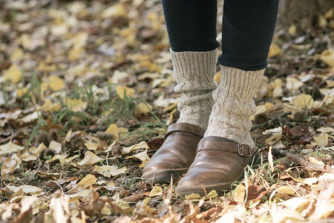 ヒラハルさんのインスタグラム写真 - (ヒラハルInstagram)「毎年この季節の人気者。わざわざオリジナルのロングセラー 『リブウール靴下／アランウール靴下』がただいま全色揃っています。  暖かい日が続く今年の冬ですが、 足元が冷えがちなときや、夜寝る前にぽかぽかを保っておきたいときには ウール靴下を備えておくときっと安心。  スタッフはお風呂でしっかり温まったあとに履くのが好きです。  ▶リブウール靴下 ¥3,900 ▶アランウール靴下 ¥3,900  @wazawazapan 🤞お買い物はプロフィールリンクより 『わざわざオンラインストア https://waza2.com/』をタップ  ・  わざわざのウール靴下は、 まるで湯たんぽを履いているようなあたたかさ。  履いた瞬間から足元が暖かく感じるほどで、沢山のリピーターの皆さまにご愛用いただいて参りました。そして、お客様から頂いたお声を商品に反映させ、改良に次ぐ改良を重ねてきたことも人気につながりました。  わざわざスタッフにとっても欠かせない靴下です。 冷え込みがより強まるこれからの季節にぜひ “湯たんぽのように温かい”を実感していただけたら嬉しいです。  ・・・・・・・・・・・・・・・  #パンと日用品の店わざわざ #わざわざ #わざわざパン #わざわざの靴下  #リブウール靴下 #ウール靴下 #ウールソックス #あったか靴下 #あったかソックス #あったかグッズ #冷えは足元から #ものづくり #靴下 #防寒対策 #防寒グッズ #冷え性 #末端冷え性」12月17日 18時00分 - wazawazapan