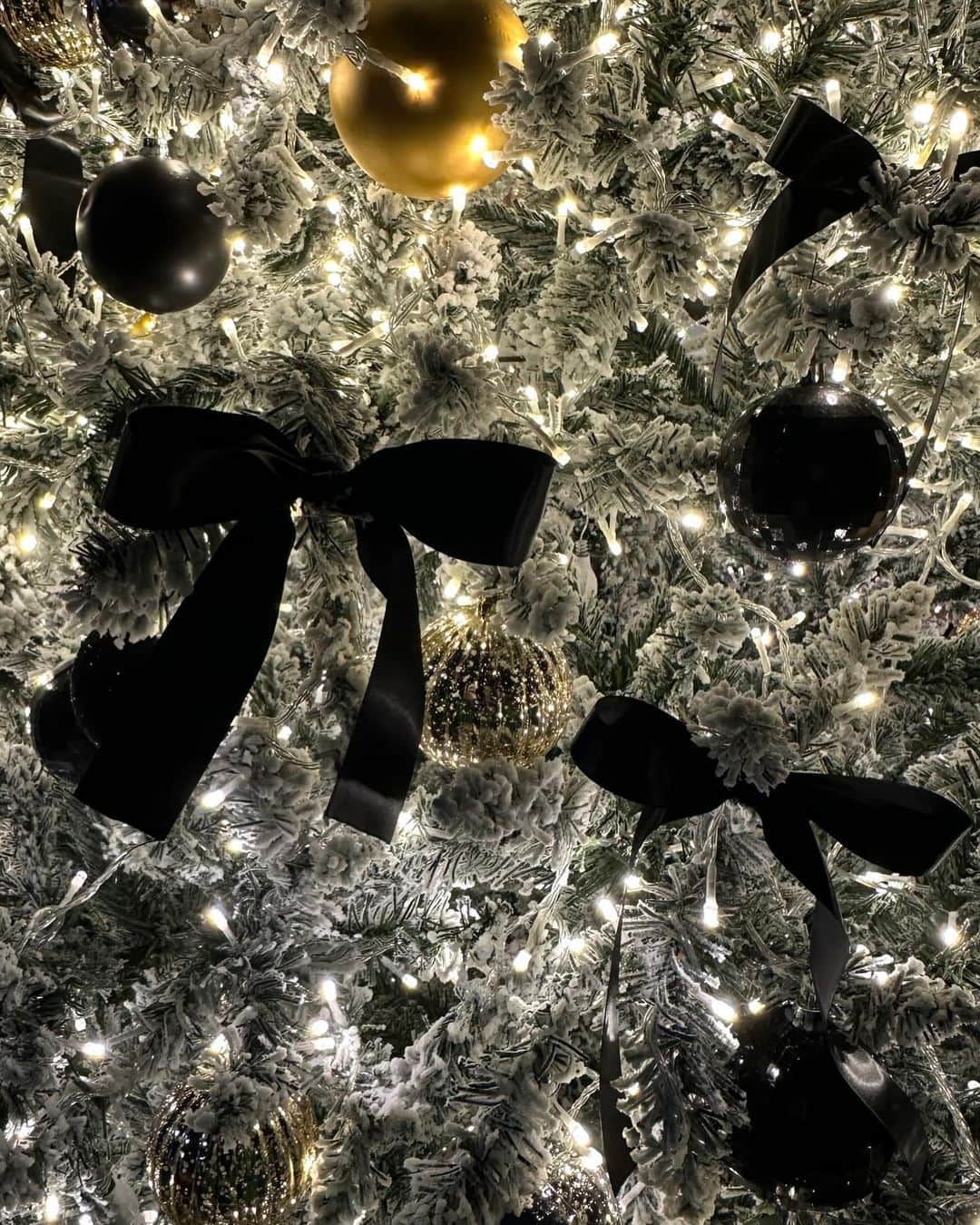 ウー・インジエのインスタグラム：「🎄✨❄️💫🥐🩷🇰🇷」