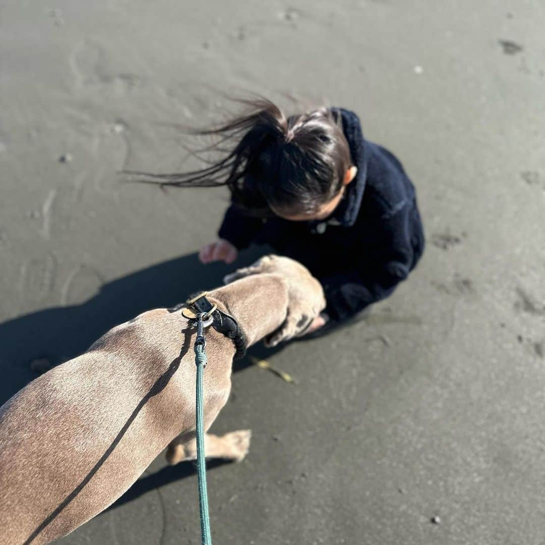 鈴木六夏さんのインスタグラム写真 - (鈴木六夏Instagram)「海。 石の上、へっぴり腰、私。」12月17日 21時10分 - rikuka.62