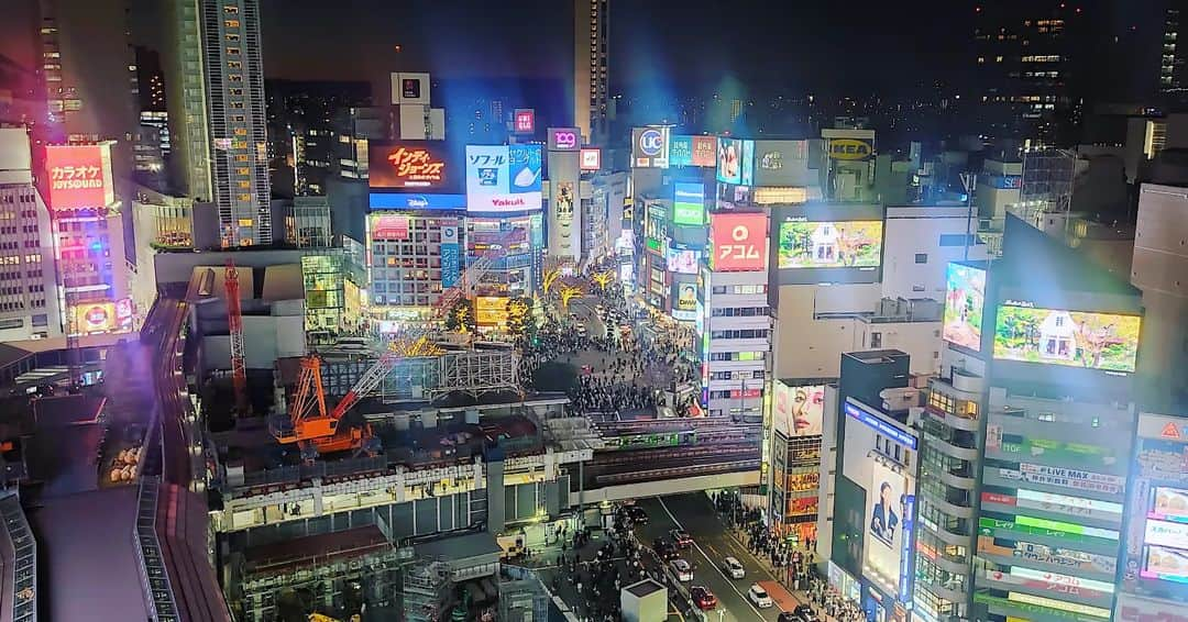 越中睦士さんのインスタグラム写真 - (越中睦士Instagram)「お休み🐾」12月17日 22時26分 - makotokoshinaka