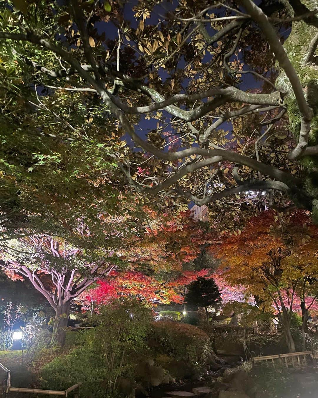 浅倉樹々さんのインスタグラム写真 - (浅倉樹々Instagram)「💫💫💫  幻想的 思い出いっぱいでうれし 🤭  #横浜」12月17日 22時30分 - kiki_asakura.official