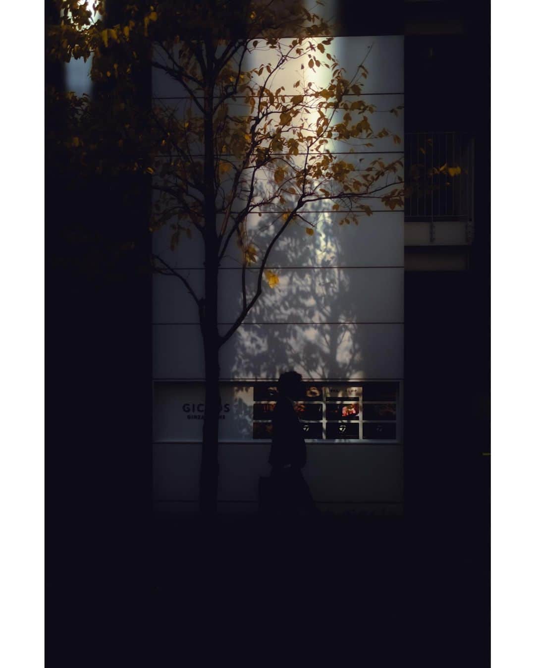 kazhixさんのインスタグラム写真 - (kazhixInstagram)「Tokyo Rhapsody  -Light and shadow on the street-  shot on iphone12  #映画のワンシーンのような一枚を   #ShotoniPhone #apple #instagram  #igersjp #HelloFrom Tokyo #ファインダー越しの私の世界  #tokyocameraclub #daily_photo_jpn #tokyoartsandculture #JapanCityBlues #TokyoTokyo #streetfinder #eyephotomagazine #cinema_streets  #urbanromantix #street_avengers #streetleaks #sublimestreet #streets_storytelling #storyofthestreet #streetsgrammer #streetmoment #voidtokyo  #streetgrammers #shadow_magazine #photo_f16 #cinematicshine」12月17日 22時39分 - kazhix