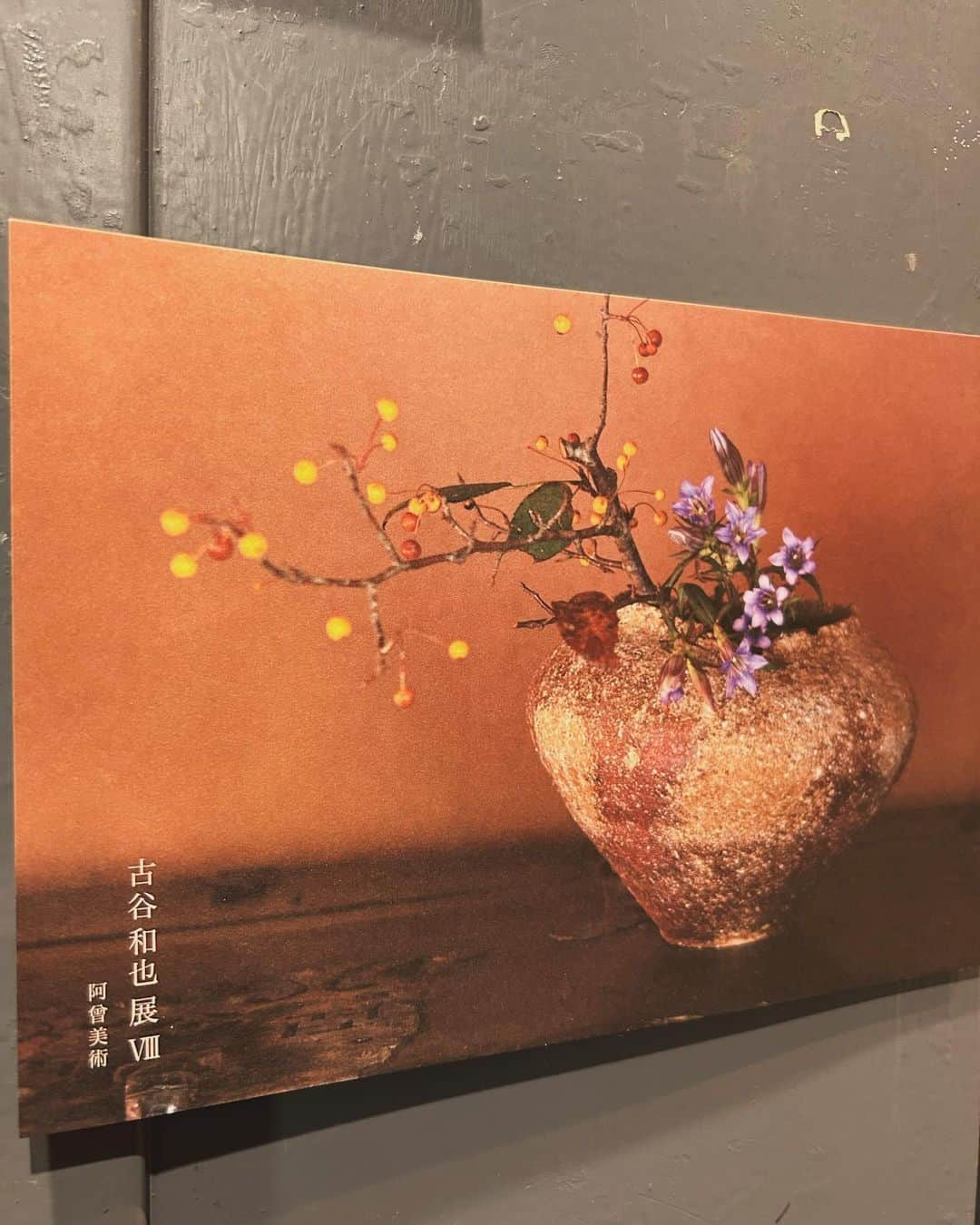 INSIDE FUJINGAHOさんのインスタグラム写真 - (INSIDE FUJINGAHOInstagram)「婦人画報2023年6月号でスペインのアーティスト、ミケル・バルセロさんとの共同制作プロジェクトをご紹介した、若き信楽焼の名手・古谷和也（ふるたにかずや）さん。東京・銀座の「阿曾美術」で現在、個展を開催されています。  古谷さんの作品は、室町時代と同じ構造の穴窯から生み出されます。ミケル・バルセロさんと過ごした時間を経て、「信楽には秘めた可能性がある。信楽を知らない人から信楽を教えてもらったと感じました。僕もこれまでにない表現に挑戦したい」と語っていた古谷さん。ひとつひとつの作品から、その思いが伝わってきます。会期は12/20までですが、古谷さんは19日のお昼過ぎまで在廊されているとのこと。ぜひ古谷さんの最新作をご覧にいらしてください。（編集長N）  「古谷和也展 Ⅷ」 2023年12月20日（水）まで 11:00〜18:00 阿曾美術 （東京都中央区銀座3-3-12 銀座ビルディング5F）  #古谷和也 #信楽 #伊賀 #穴窯 #焼き締め #個展 #壺 #花入 #茶碗 #酒器 #器 #art #阿曾美術 #銀座 #やきもの #婦人画報 #fujingaho #fujingahojp」12月17日 23時09分 - fujingahojp