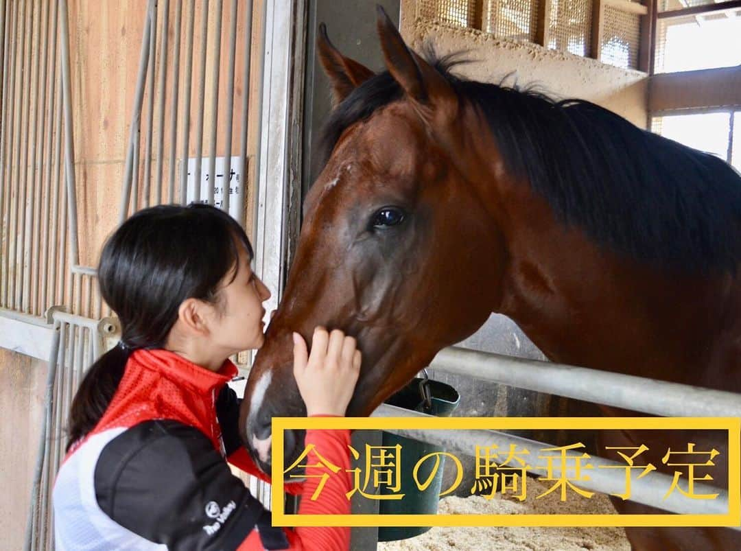 古川奈穂のインスタグラム：「【騎乗予定】 《11月25日土曜日京都競馬場3鞍》 1R キムケンハッピー 8R モズアカボス 12R マメコ  《11月26日日曜日京都競馬場3鞍》 2R ココシャンパーニュ 4R アウローラルミエル 7R アスクビックスター  【騎乗結果】 《11月18日土曜日福島競馬場5鞍》 1R アスクドンキバック 7着 3R バガリーロータス 2着🥈 6R サトノストロング 9着 7R ディザーブラン 12着 8R アイヲツグモノ 13着  《11月19日日曜日福島競馬場3鞍》 6R コスモララバイ 除外 7R ハクサンアイ 5着 8R ユイ 14着  皆様、日々ご声援頂きありがとうございます。 今後とも応援のほど、よろしくお願いします！  #騎乗結果  #騎乗予定  #スタッフ投稿  #古川奈穂  #jra  #騎手  #ジョッキー  #jockey  #競馬  #horseracing  #馬が好き #馬好きさんと繋がりたい  #馬好きな人と繋がりたい  #馬  #horse  #11月  #一走入魂  #2023年 #京都 #京都競馬  #京都競馬場 #今年もあと1ヶ月 #最後まで諦めない  #やりきる  #蟻の思いも天に届く」