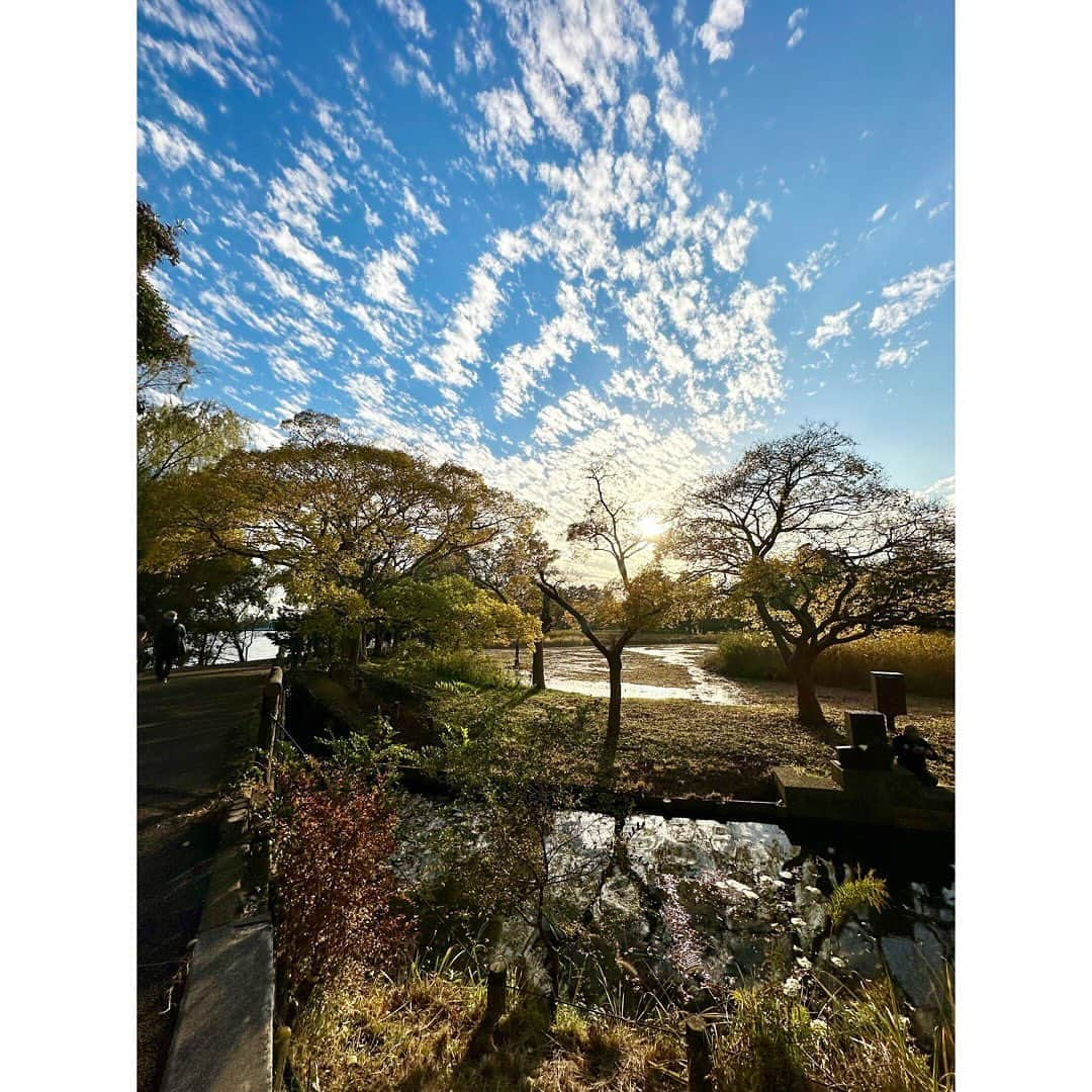 永末まゆのインスタグラム：「ここ、本当に都内？と思うような#水元公園 🍂🌳⛲️  公園全体が優しい雰囲気に包まれていて、素敵過ぎた✨  落ち葉はふわふわ、木の実や松ぼっくりがたーくさん、珍しい葉っぱがひらひら、メタセコイアの森に癒された。子どもも大人も大満足🌲🌲🌲🍂  知らない場所がまだまだたくさんあるね✨  ・ ・ ・  #メタセコイヤ #メタセコイアの森 #都内公園 #都立公園 #子育てママと繋がりたい #落ち葉拾い」